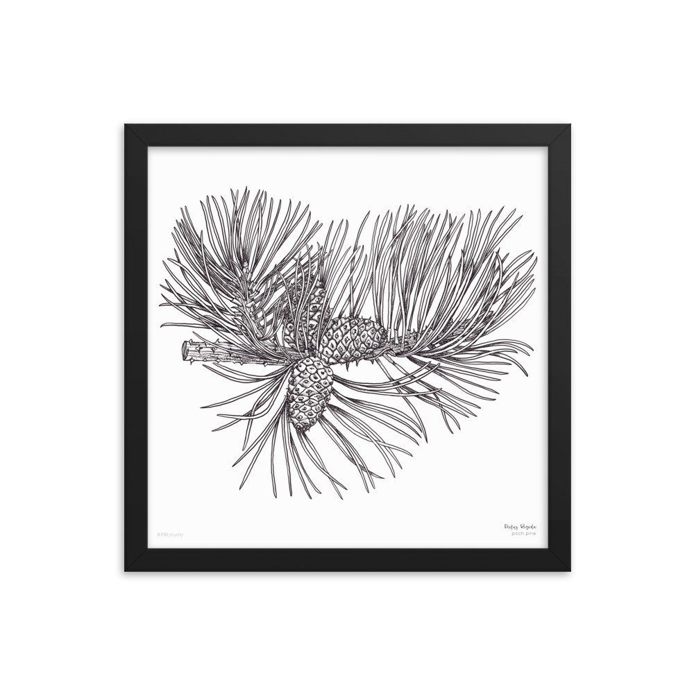 enhanced-matte-paper-framed-poster-(in)-black-14x14-transparent-619e77210d7f7.jpg