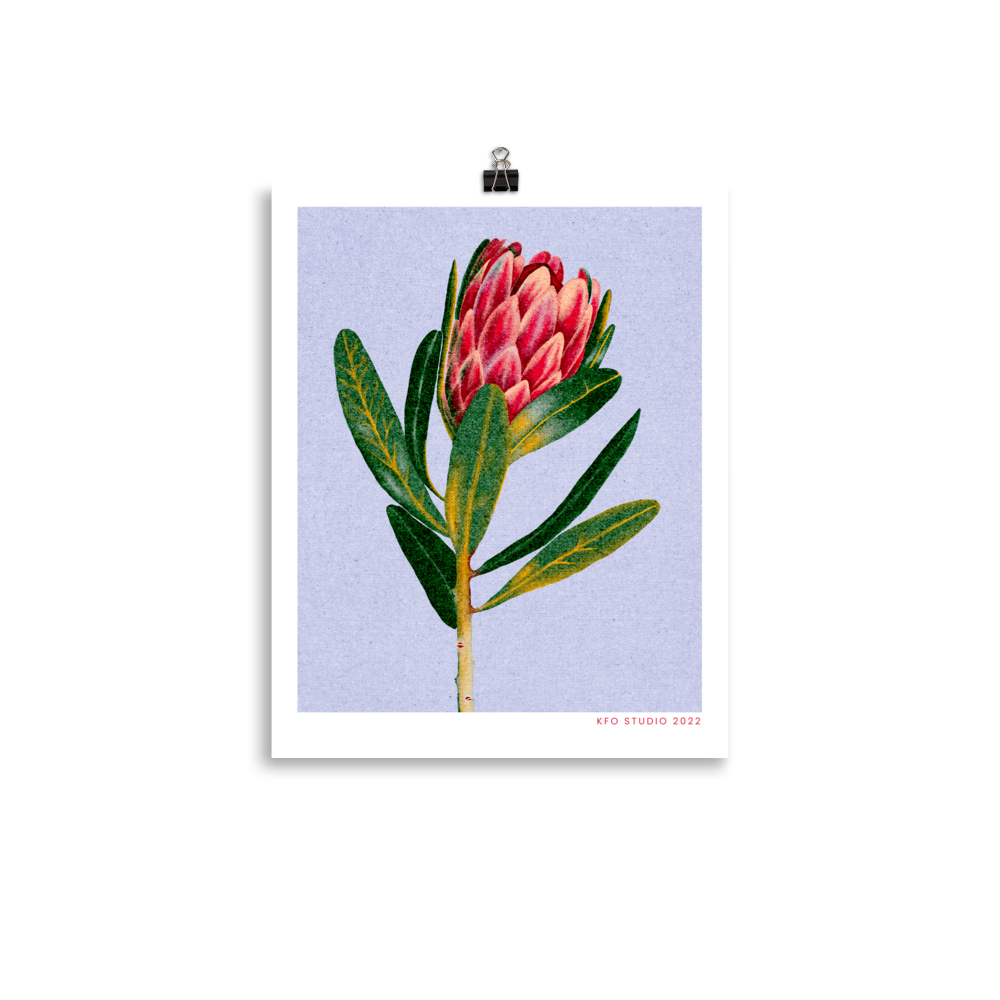 enhanced-matte-paper-poster-(in)-11x14-transparent-626fea0525682.png