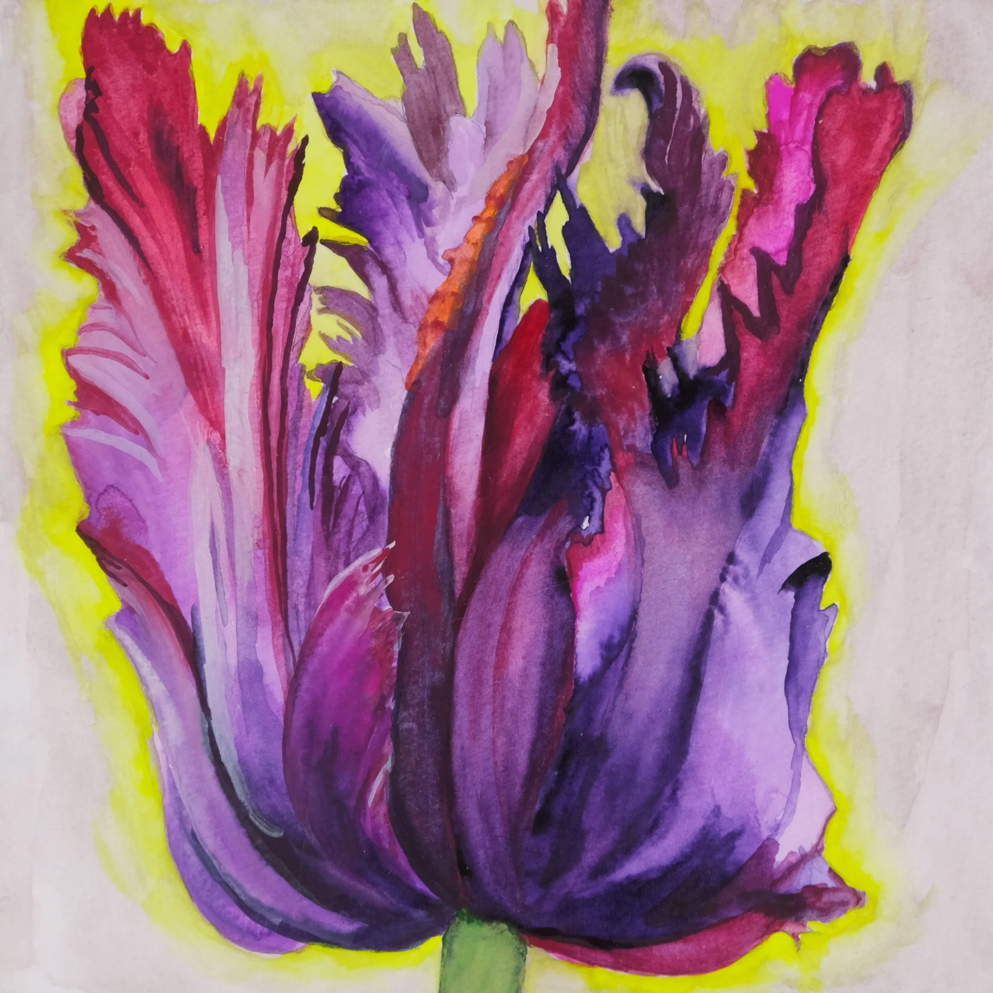 beautiful-feather-purple-tulip-yellow-background-watercolor-illustration-by-kelly-funabashi.jpg