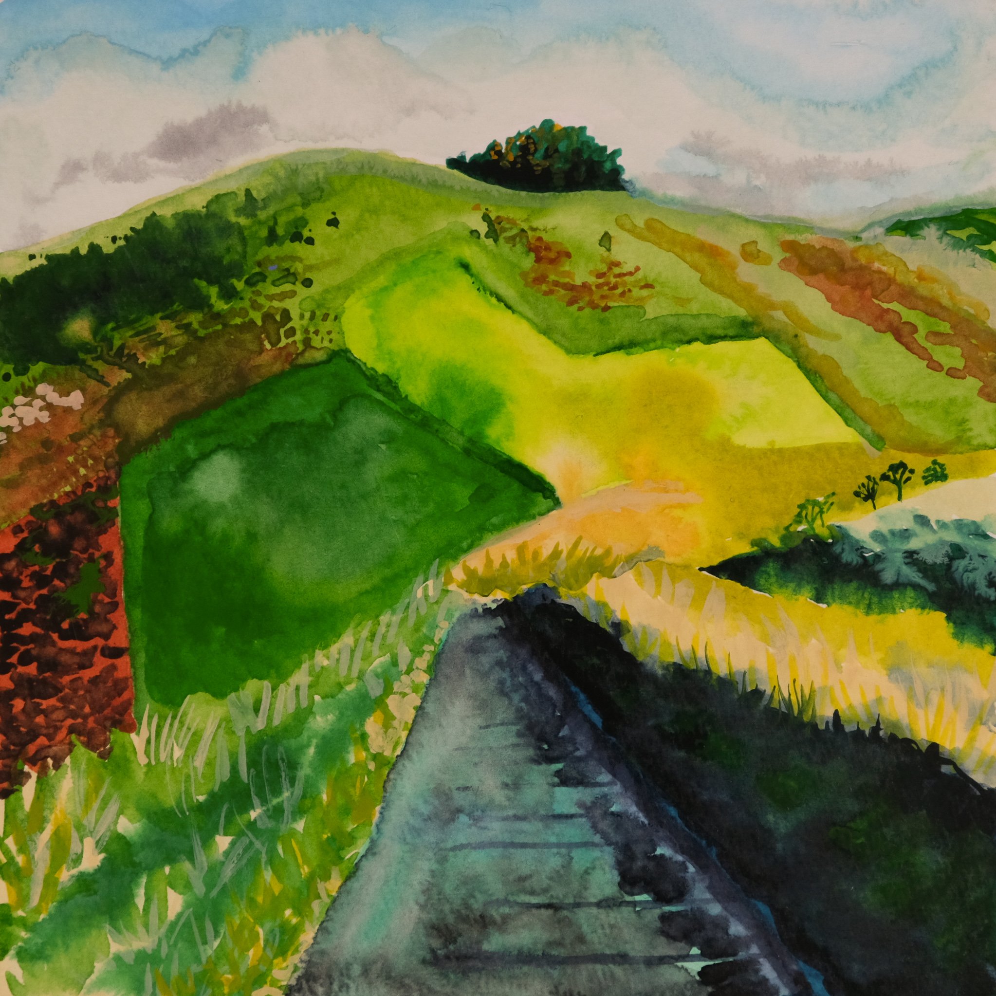 landscape-illustration-road-through-fields-by-kelly-funabashi.jpg