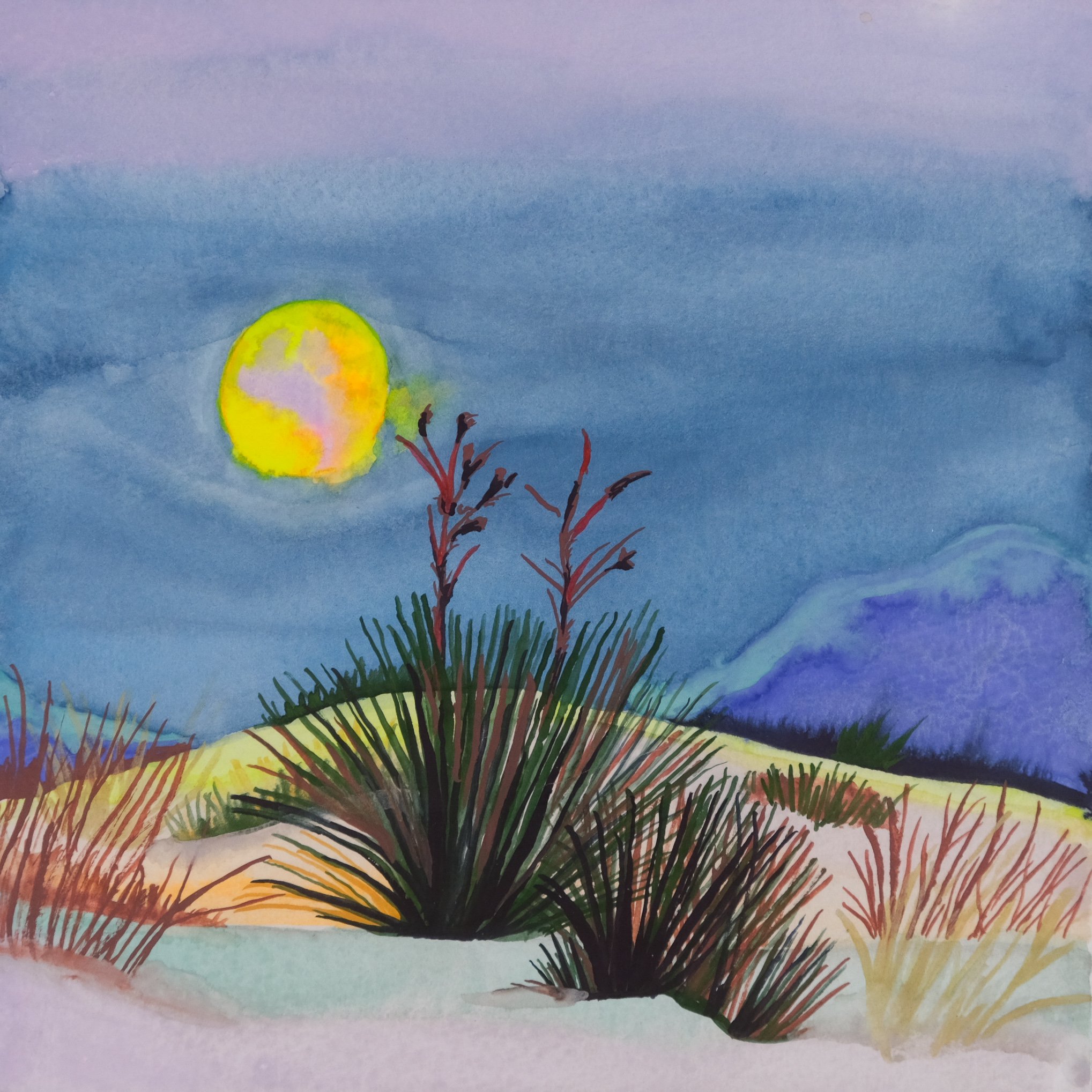 landscape-illustration-desert-at-night-by-kelly-funabashi.jpg