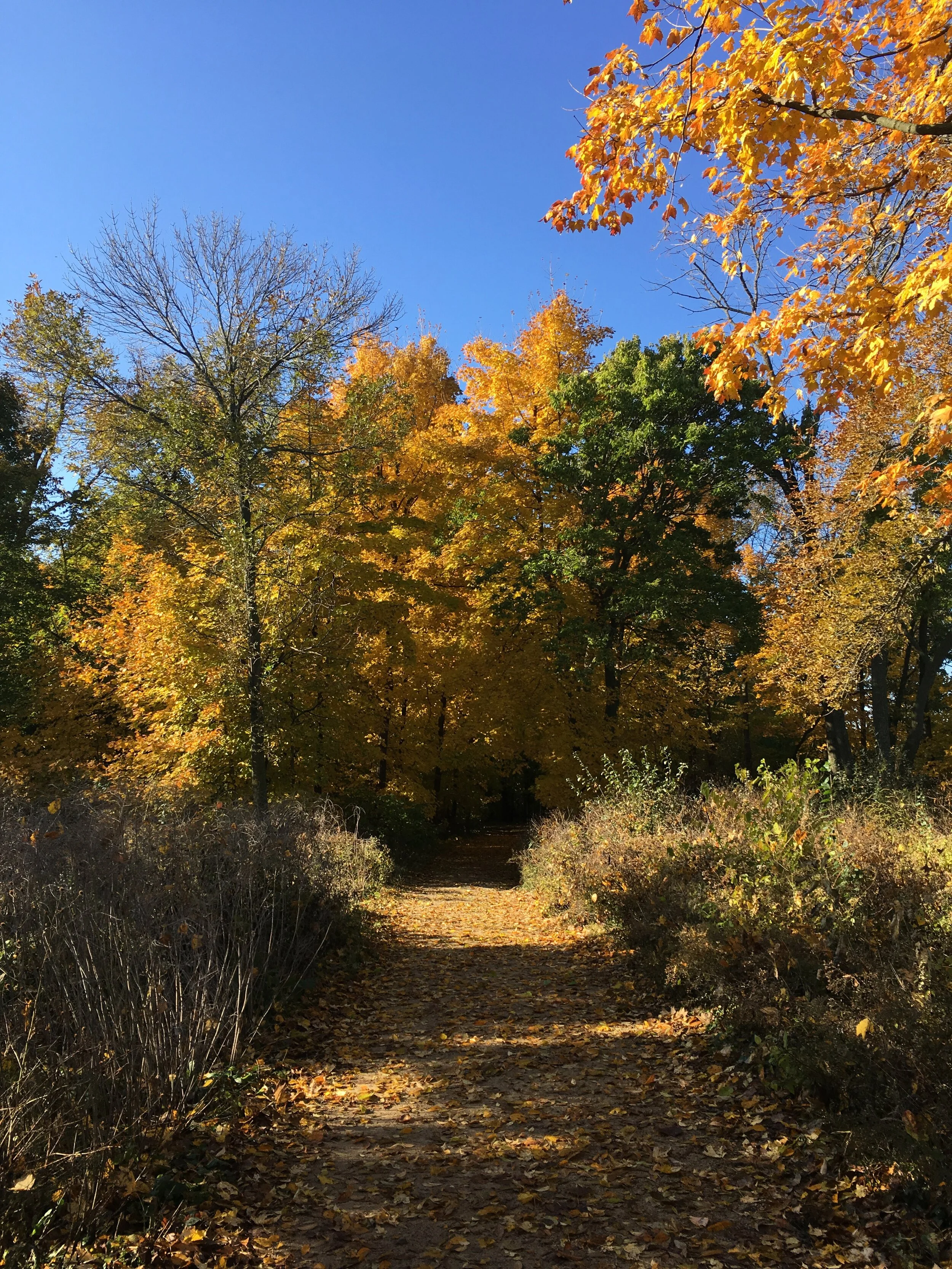 Being attentive: self-care doesn’t have to be something you buy