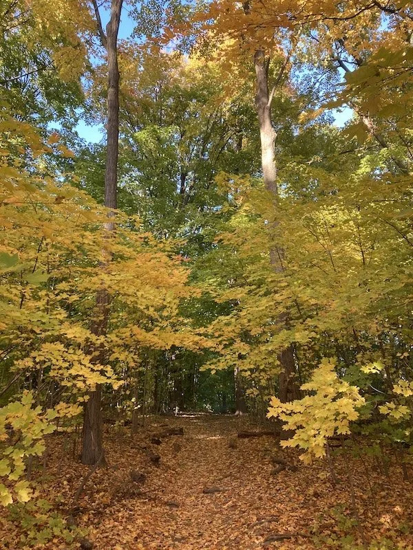 Where to go when you’re feeling anxious? An Anxiety Therapist offers Three Places to go in Madison, WI