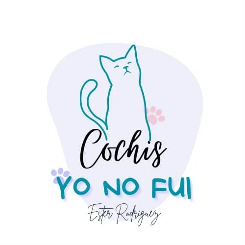 Coshis Yo No Fui / Velas Artesanales