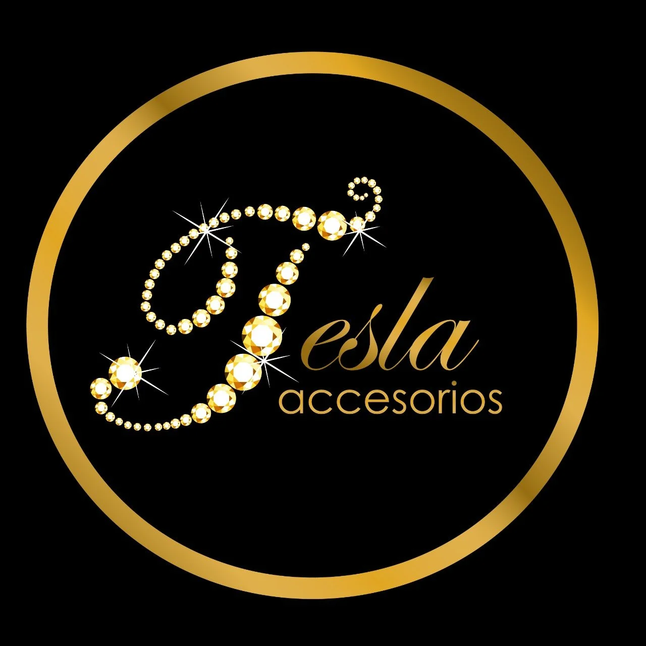 Tesla Accesorios
