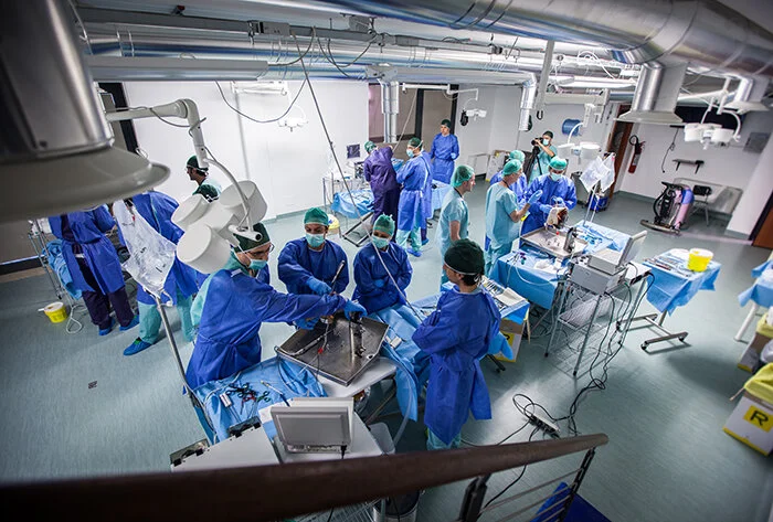 Ringiovanimento e rinnovamento