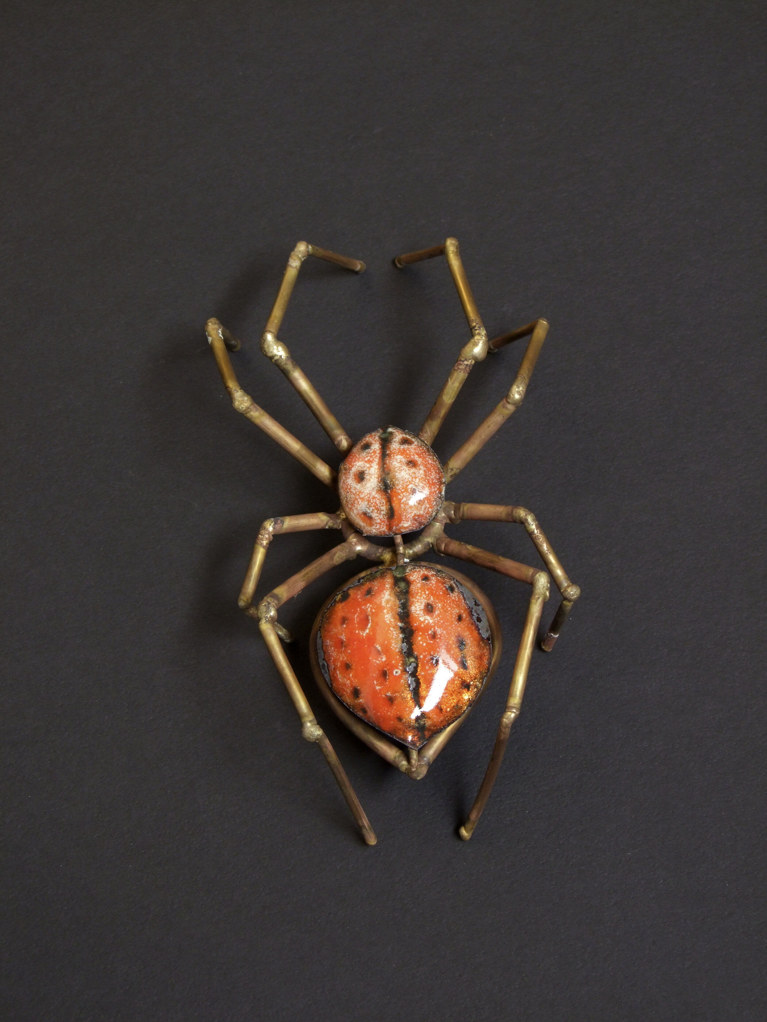 spider 1.jpg