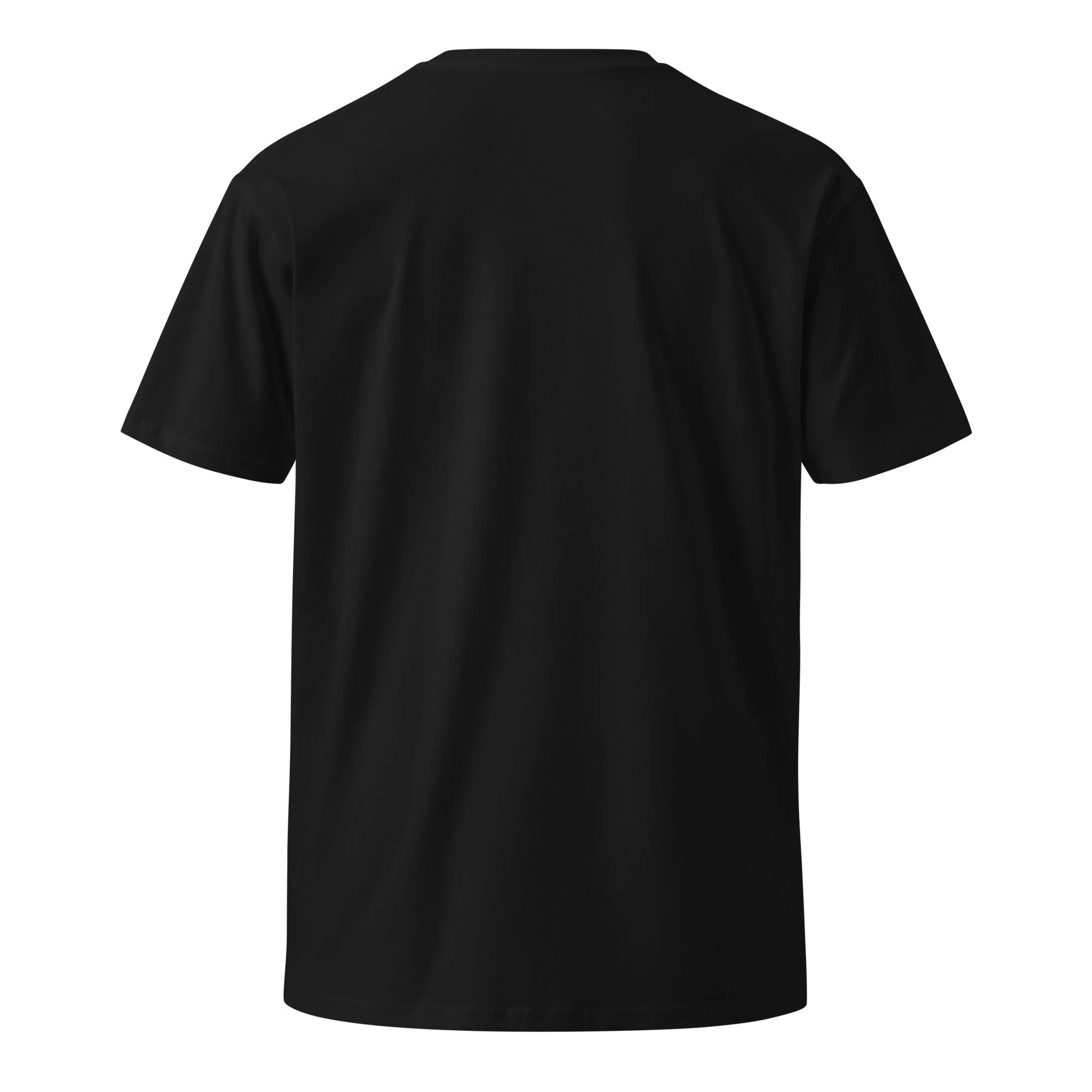 unisex-premium-t-shirt-black-back-69c3603125780.jpg