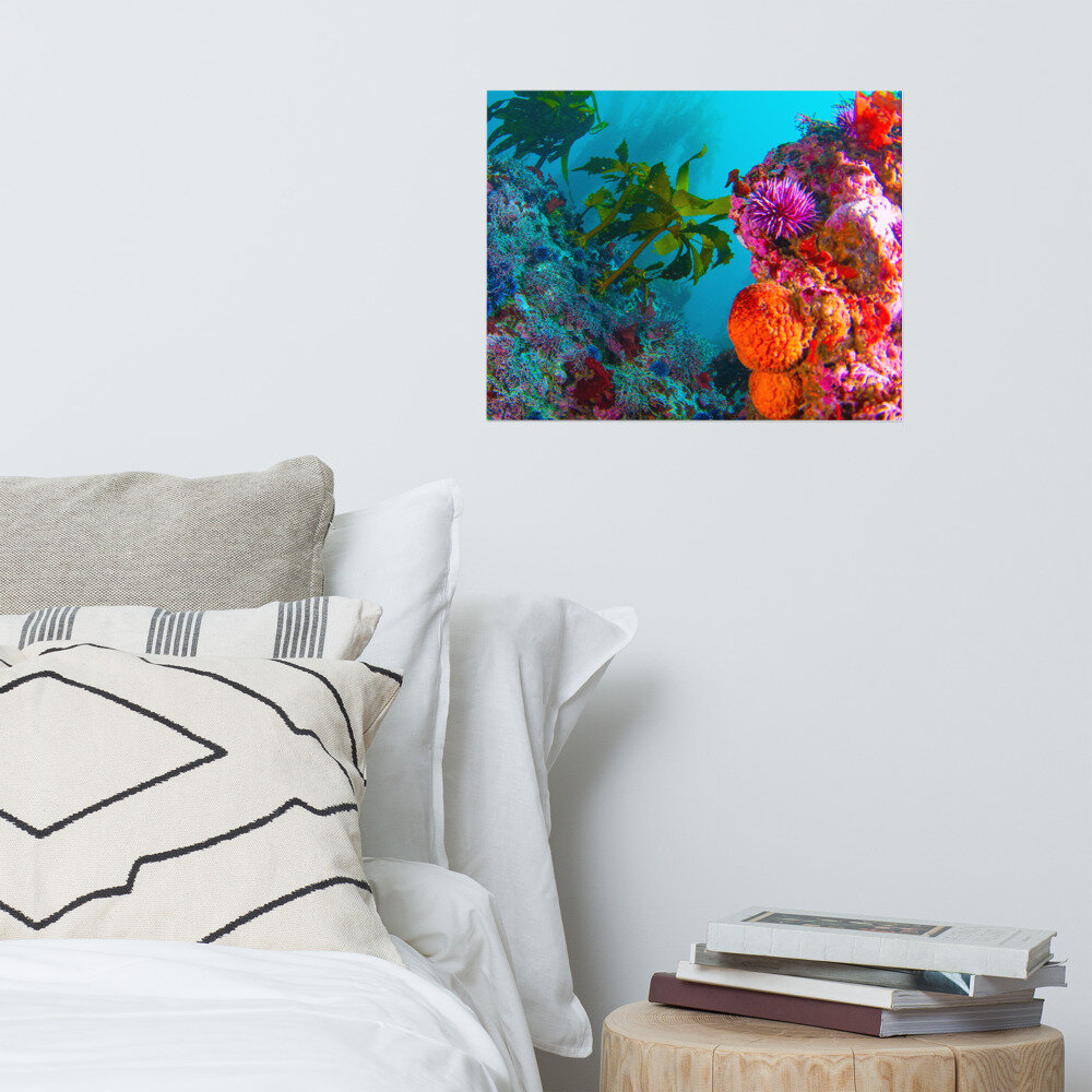 enhanced-matte-paper-poster-(in)-16x20-front-6165e168a9042.jpg
