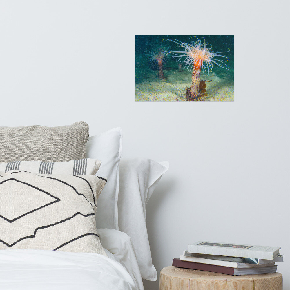 enhanced-matte-paper-poster-(in)-12x18-front-6165eadea8803.jpg