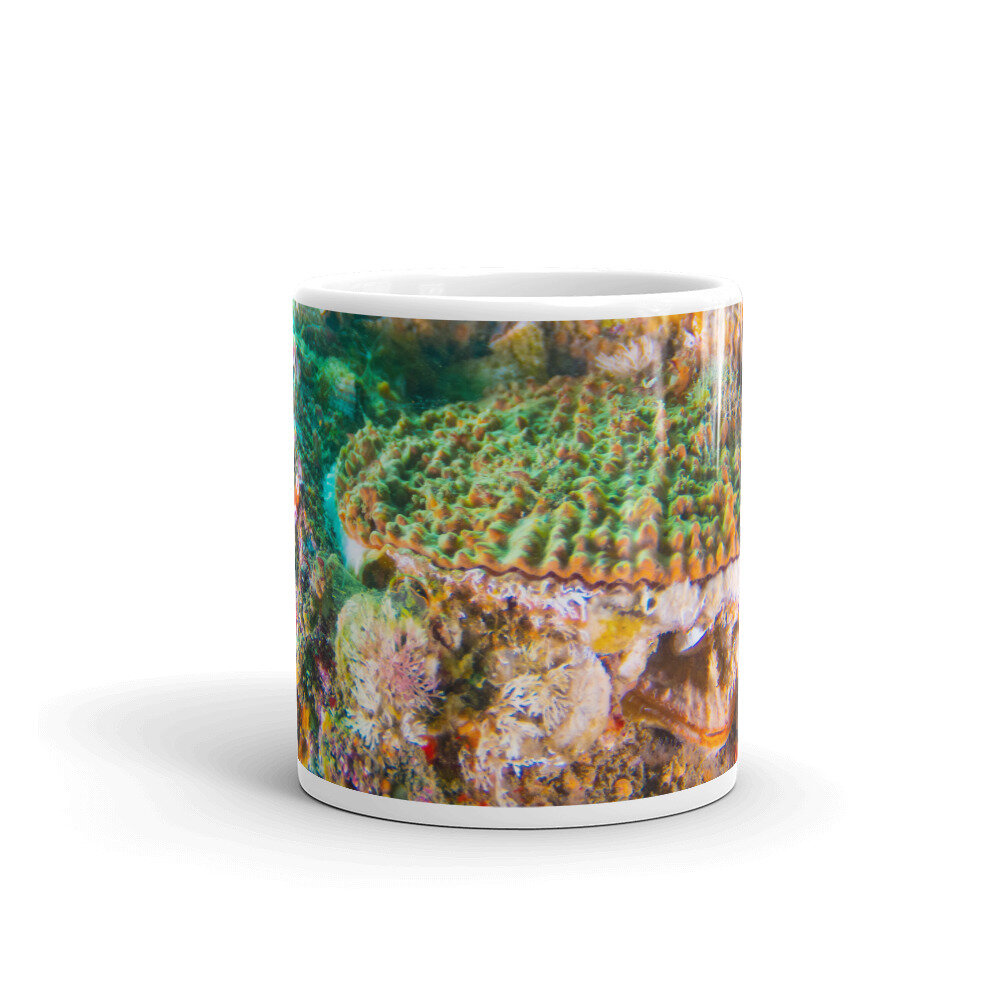 white-glossy-mug-11oz-front-view-6166124e165f0.jpg