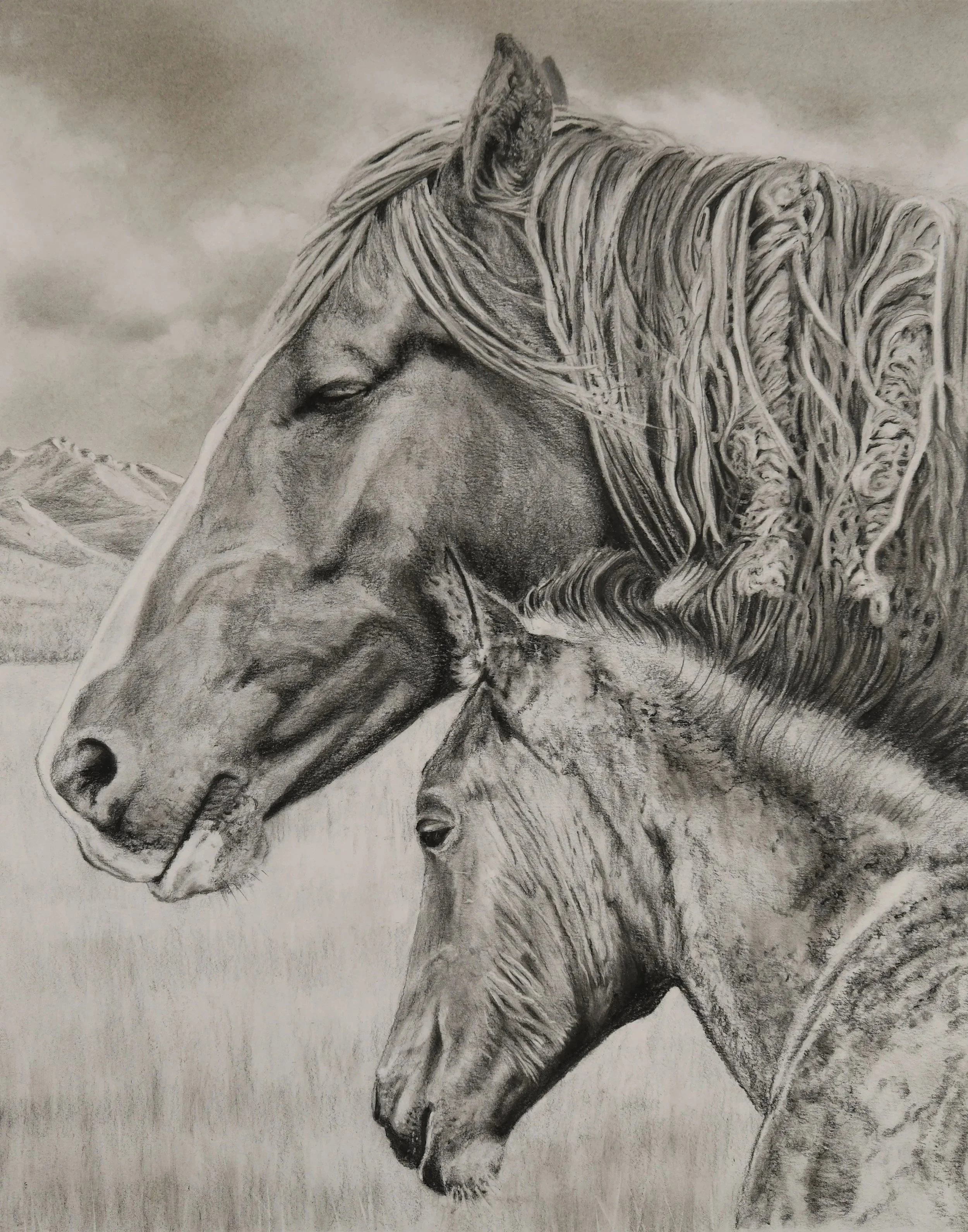 1-mare-and-foal.jpg