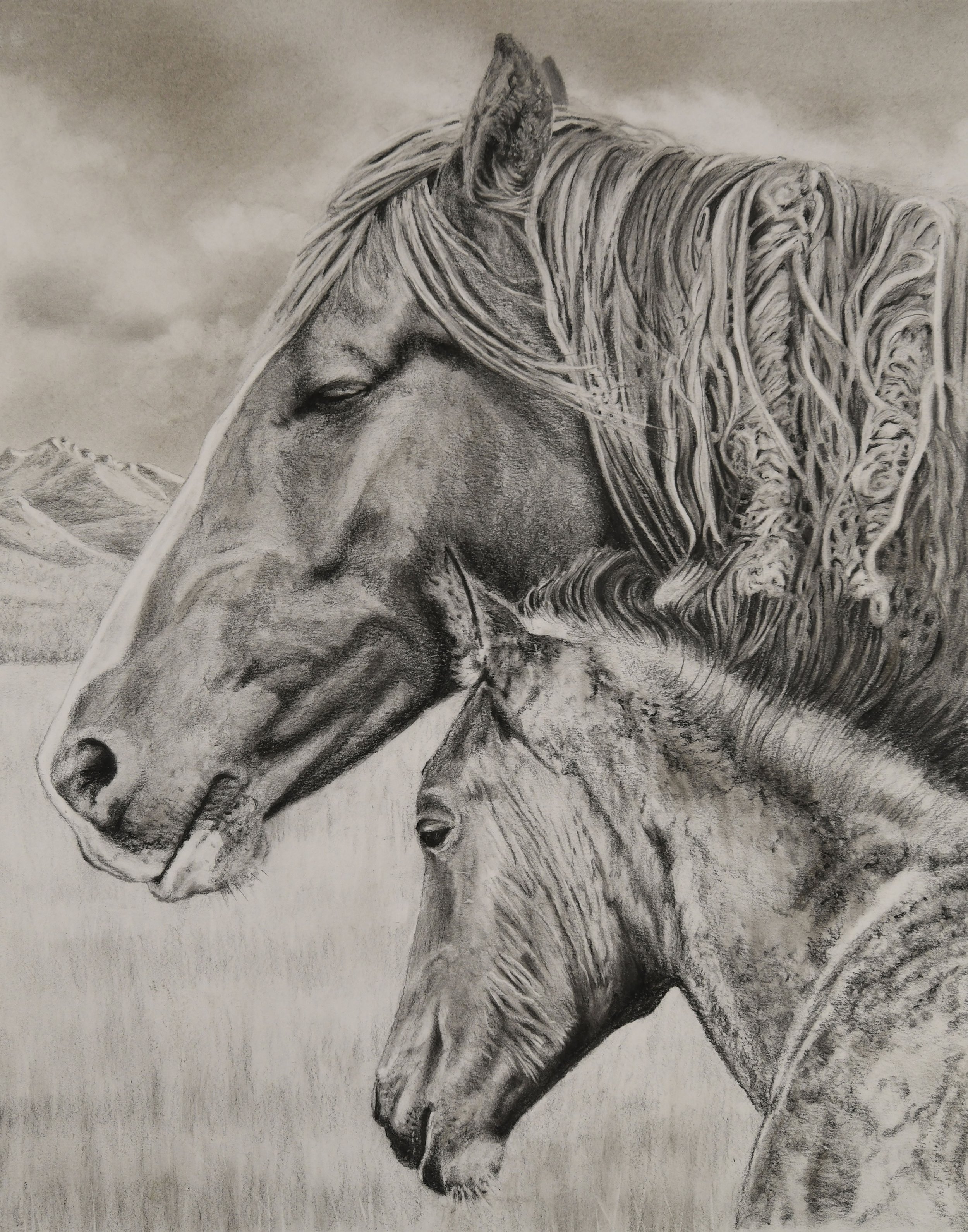 Mare_Foal_RubyMt.jpg