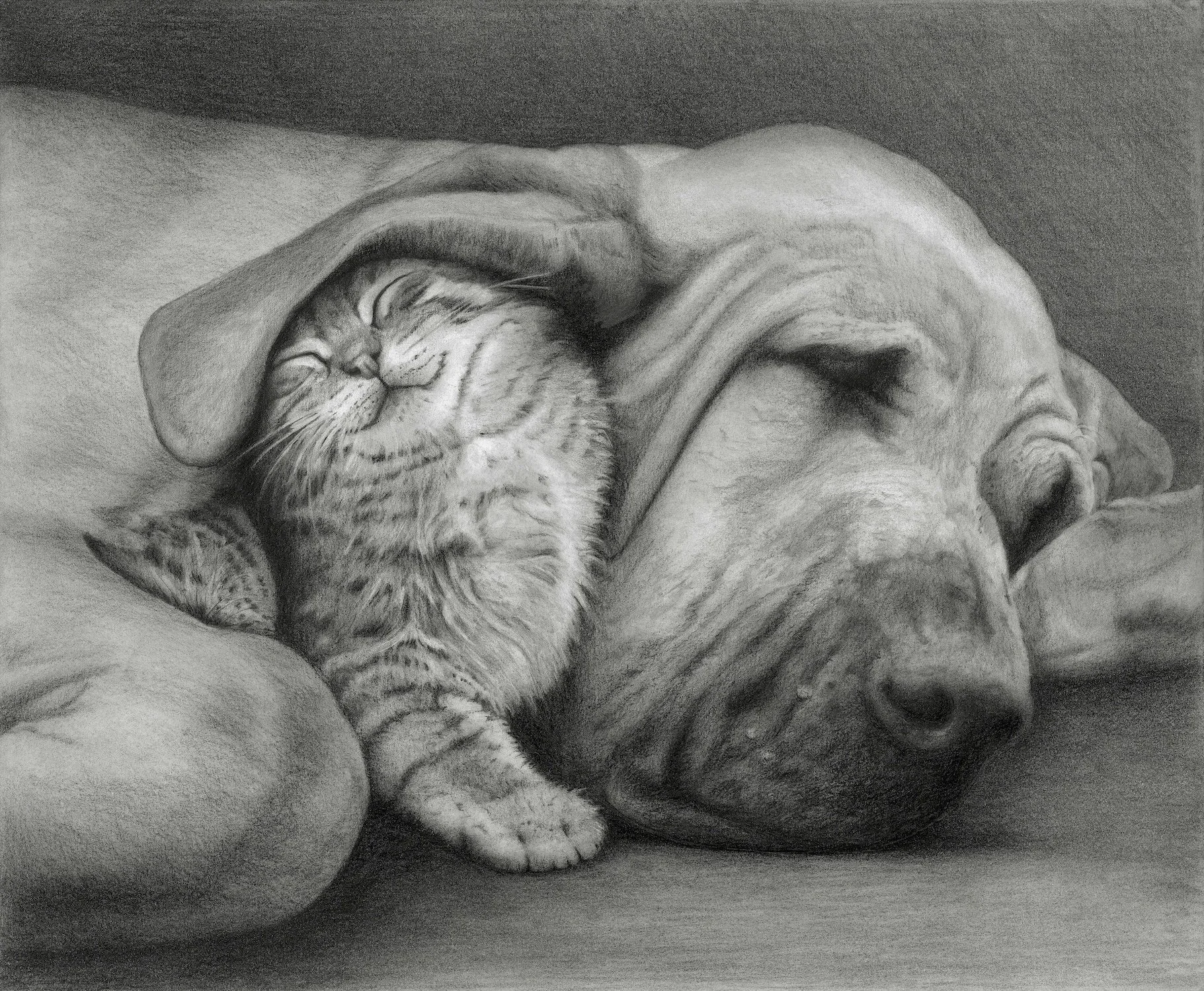 2-odd-couple.jpg