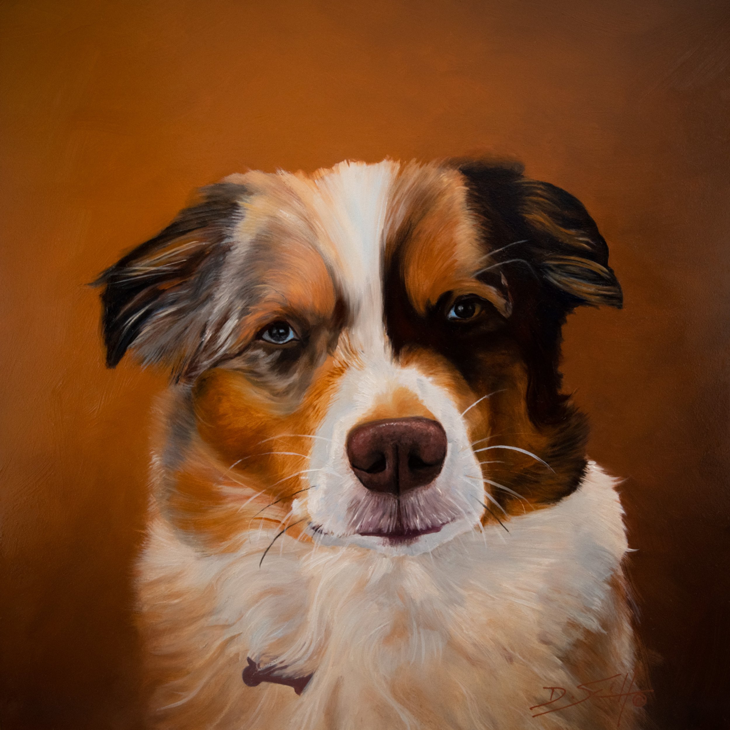 dog.jpg