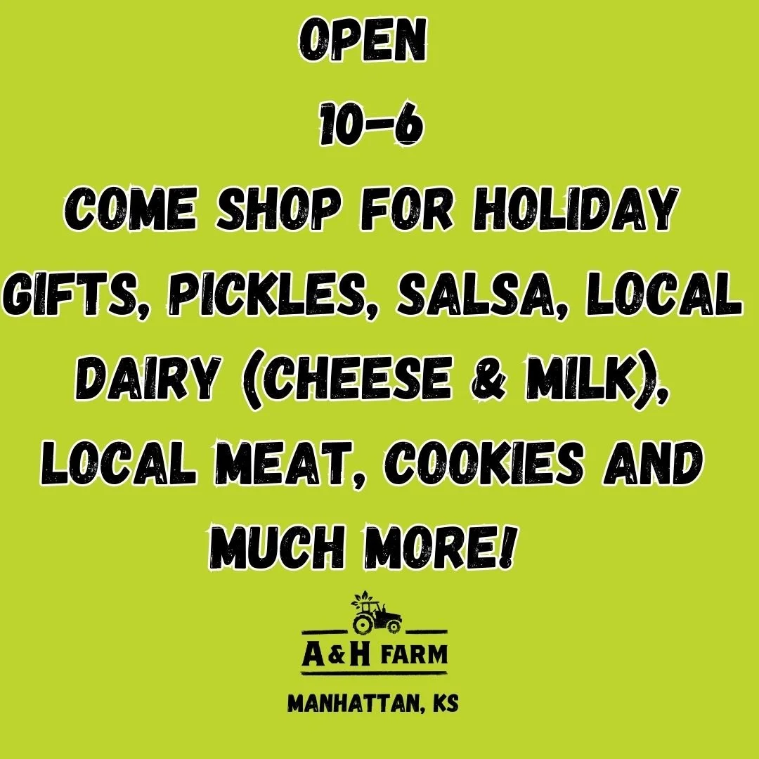 Open 10-6