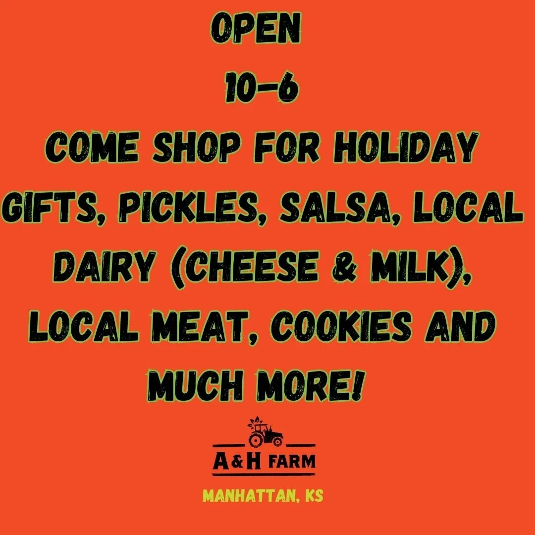 Open 10-6
