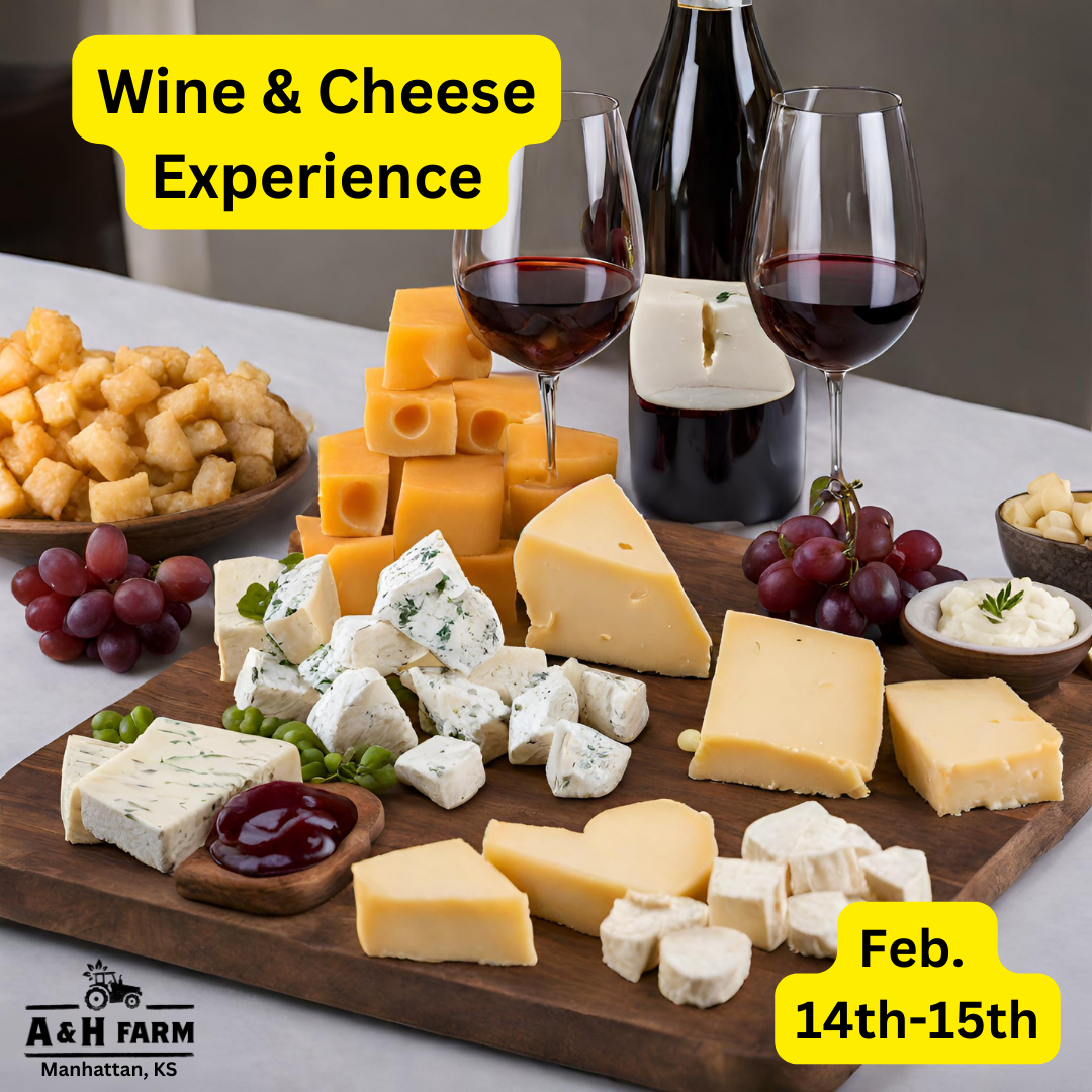 Wine &amp; Cheese Experience 🍷🧀