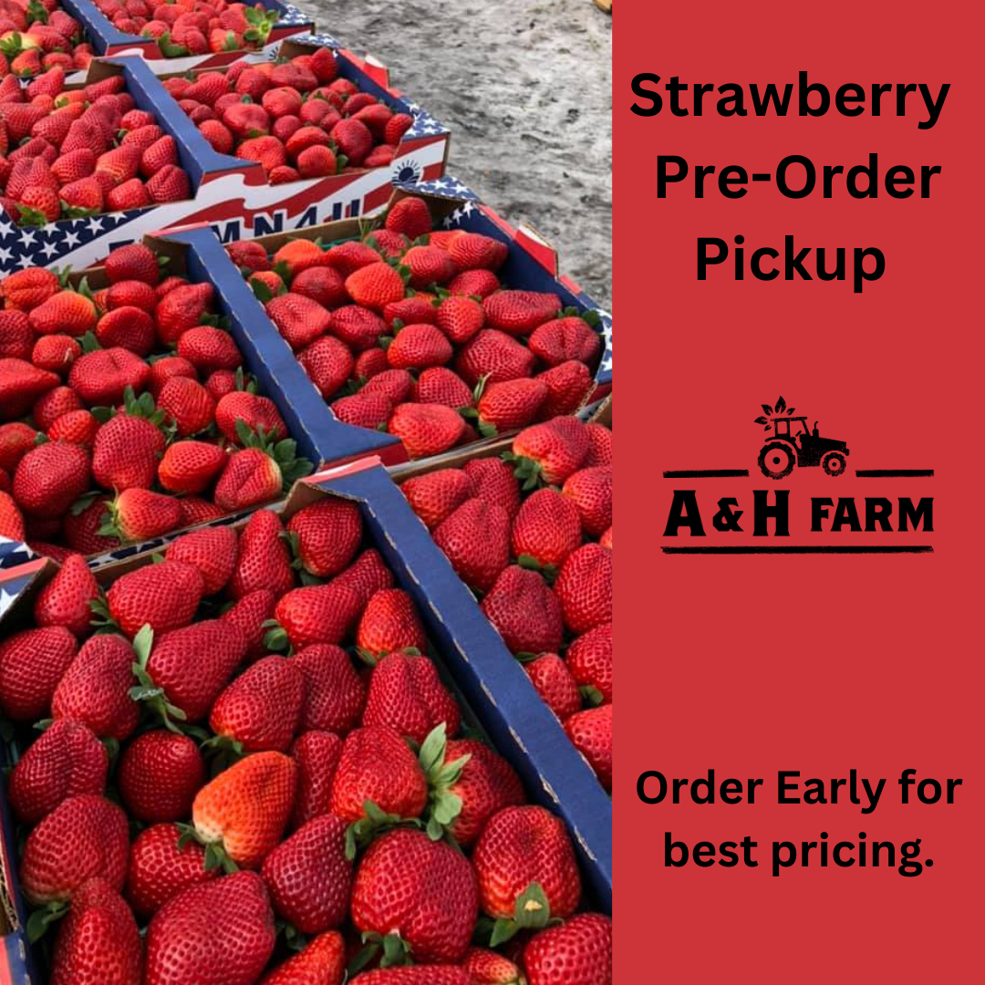 Strawberry Pre-Order Pickup