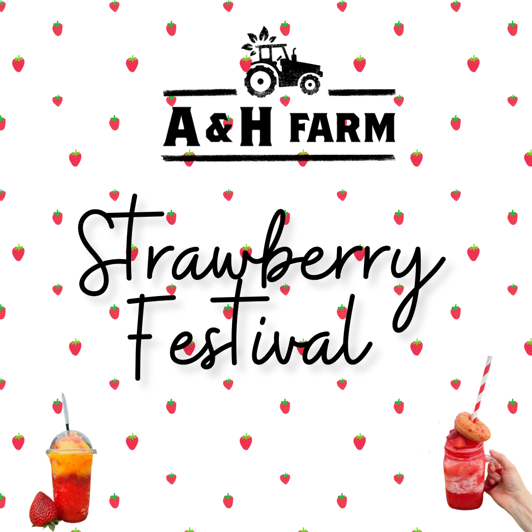 🍓 Strawberry Festival 🍹 Slushies, Snacks &amp; Sweet Vibes