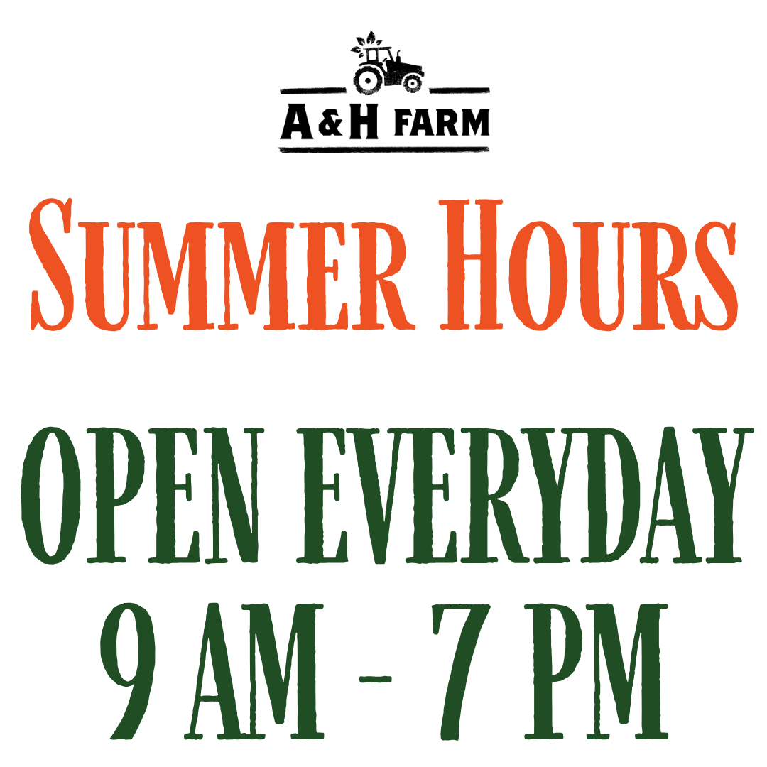 Summer Hours