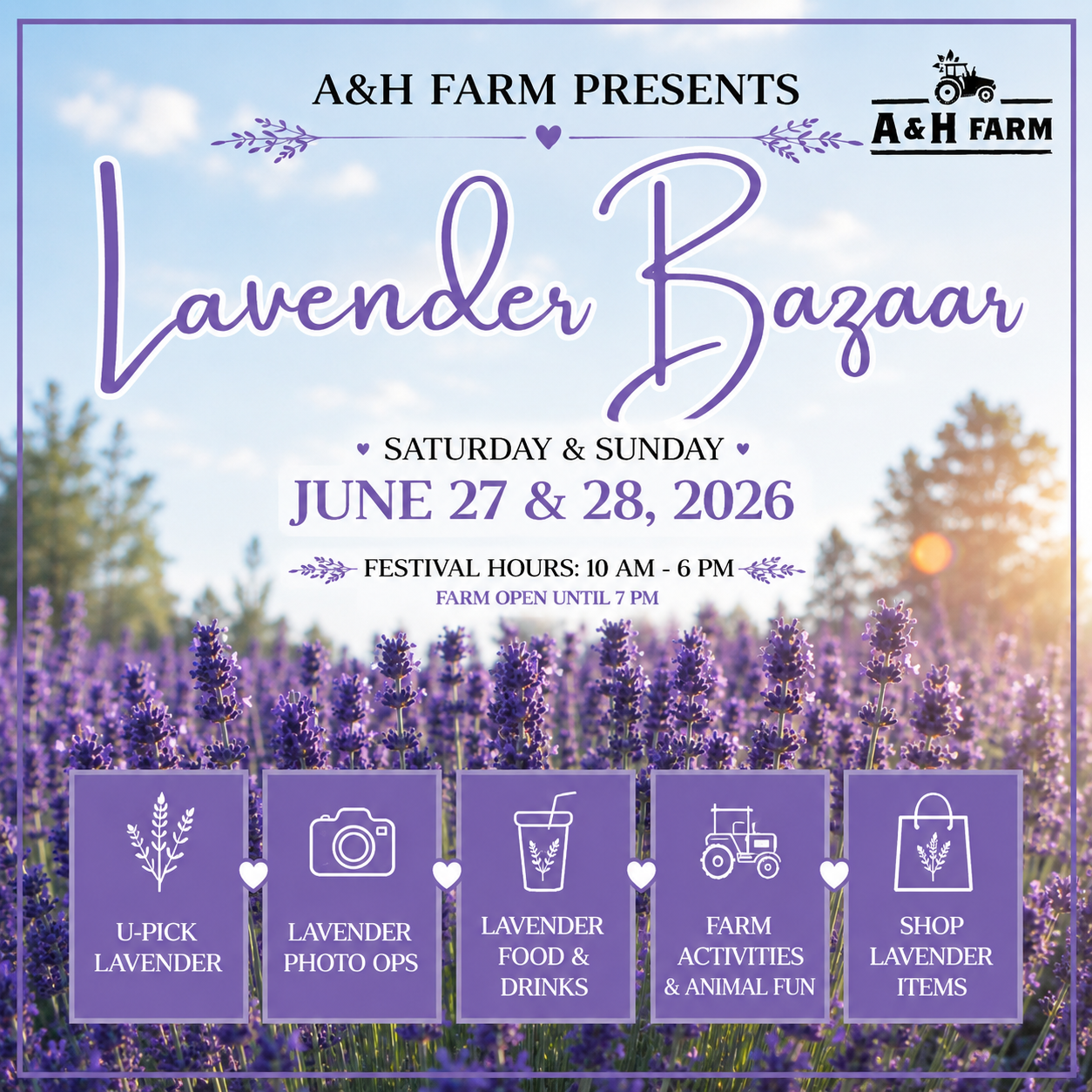 Lavender Bazaar