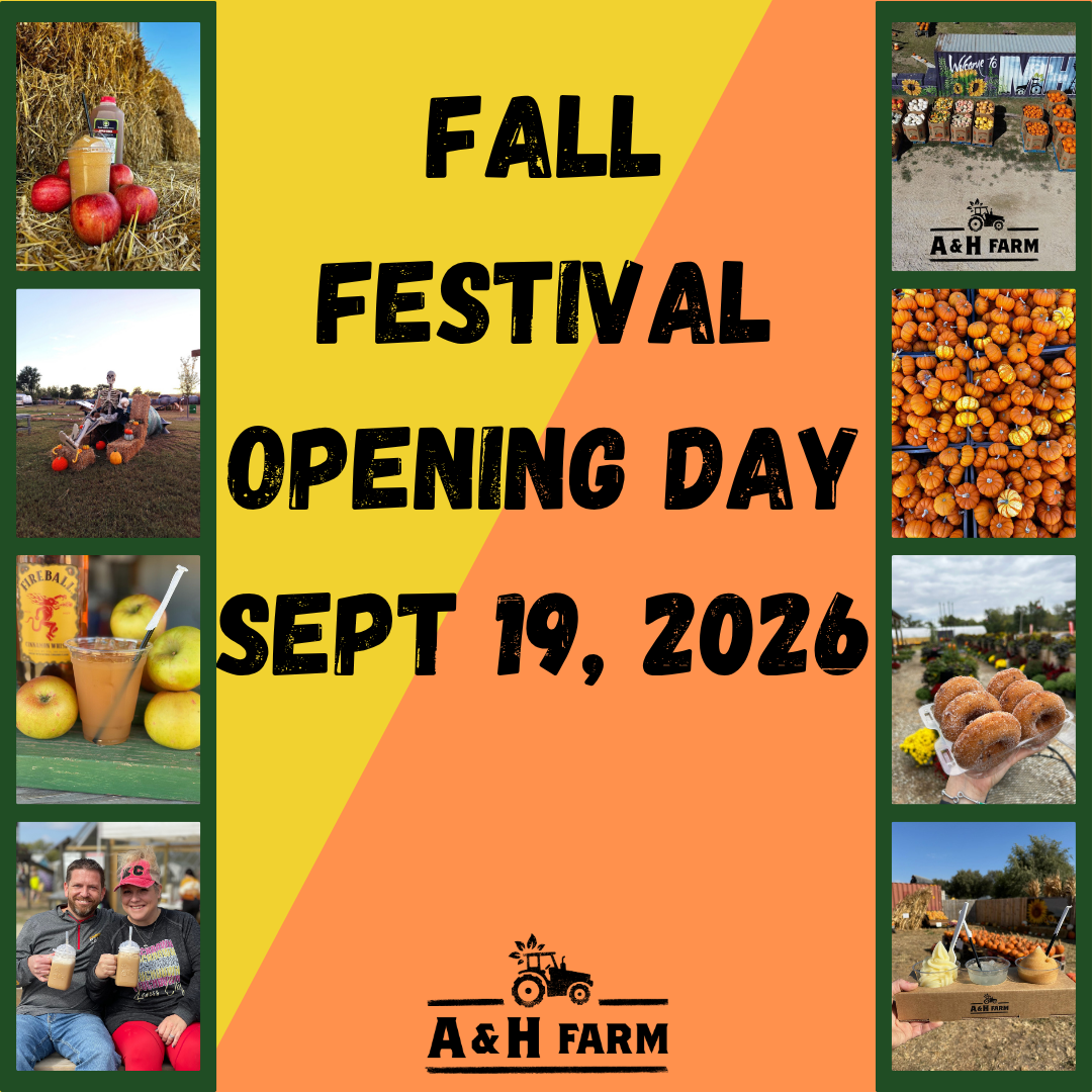 2026 Fall Festival Opening Day