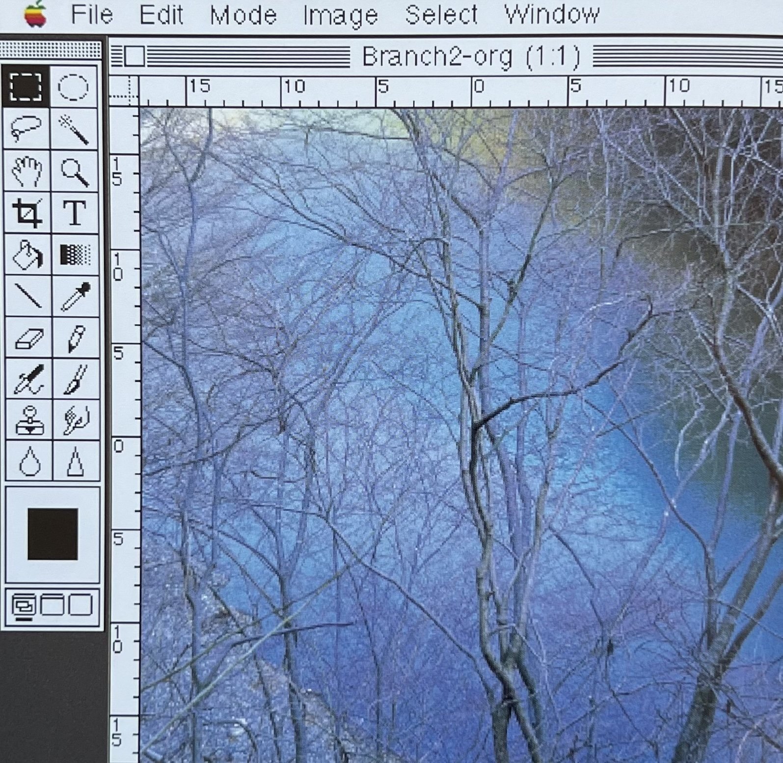 IMG_7769.jpeg