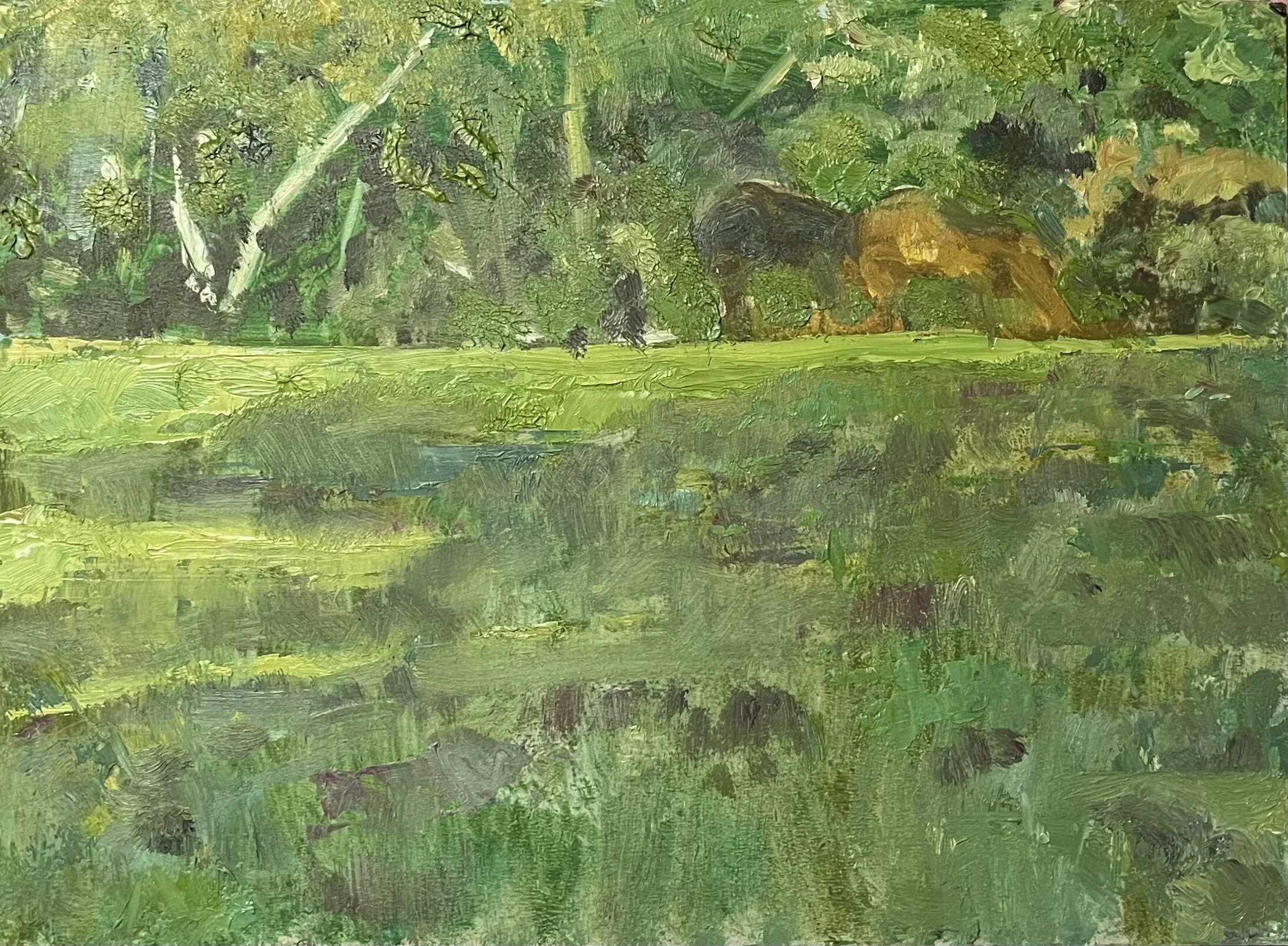 C79098B9-964F-4106-BF25-9D4F15EB504D