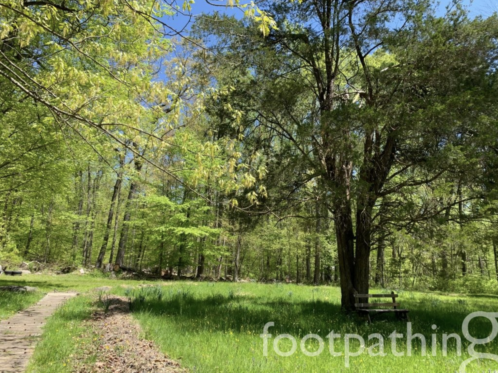 Outdoor Yoga at Herrontown Woods Arboretum & Nature Preserve with Gemma —  Gratitude Yoga