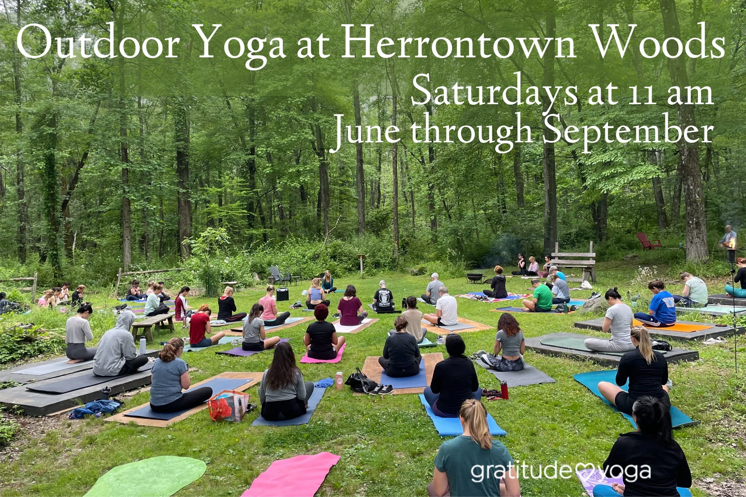 Outdoor Yoga on Saturdays at Herrontown Woods