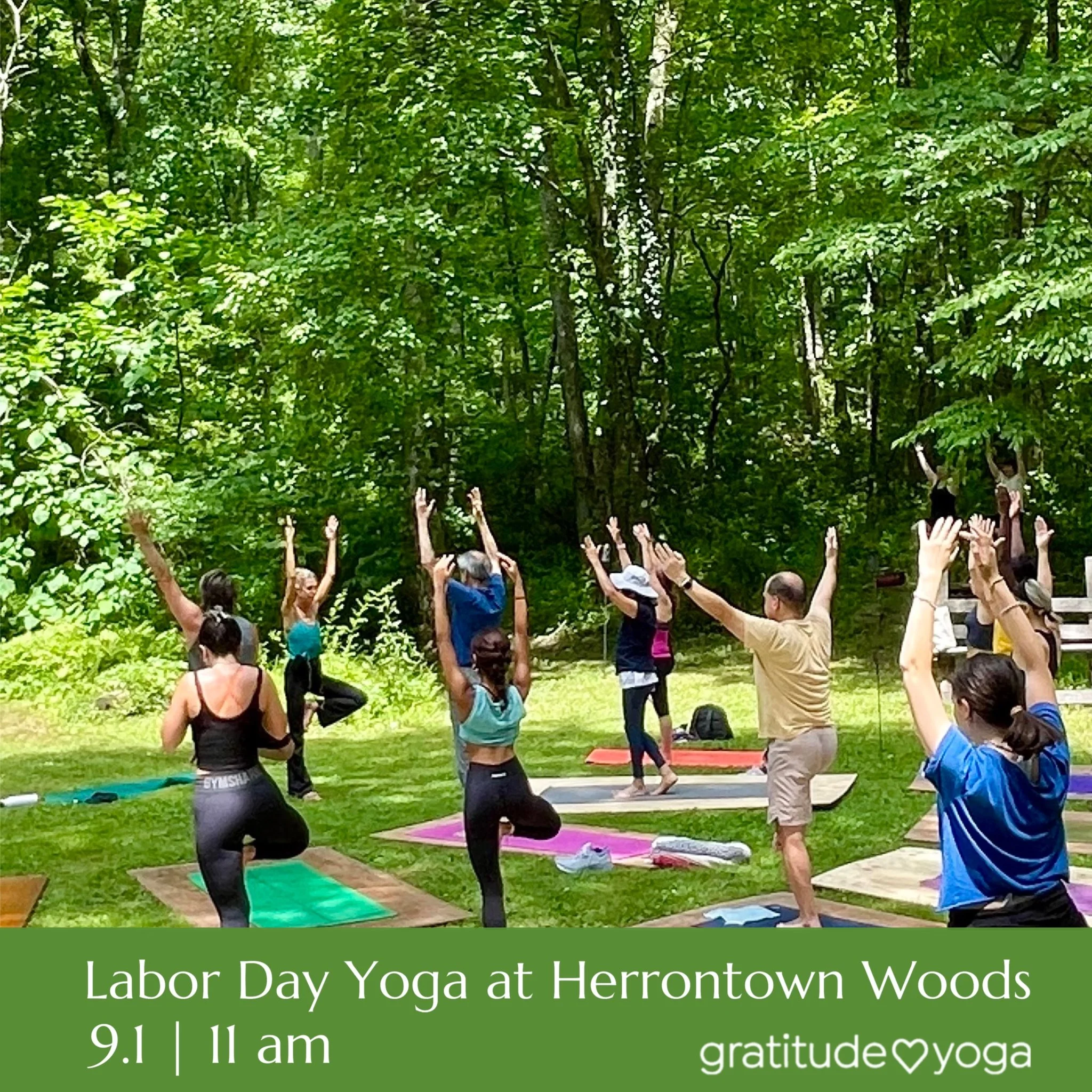 Labor Day Yoga at Herrontown Woods