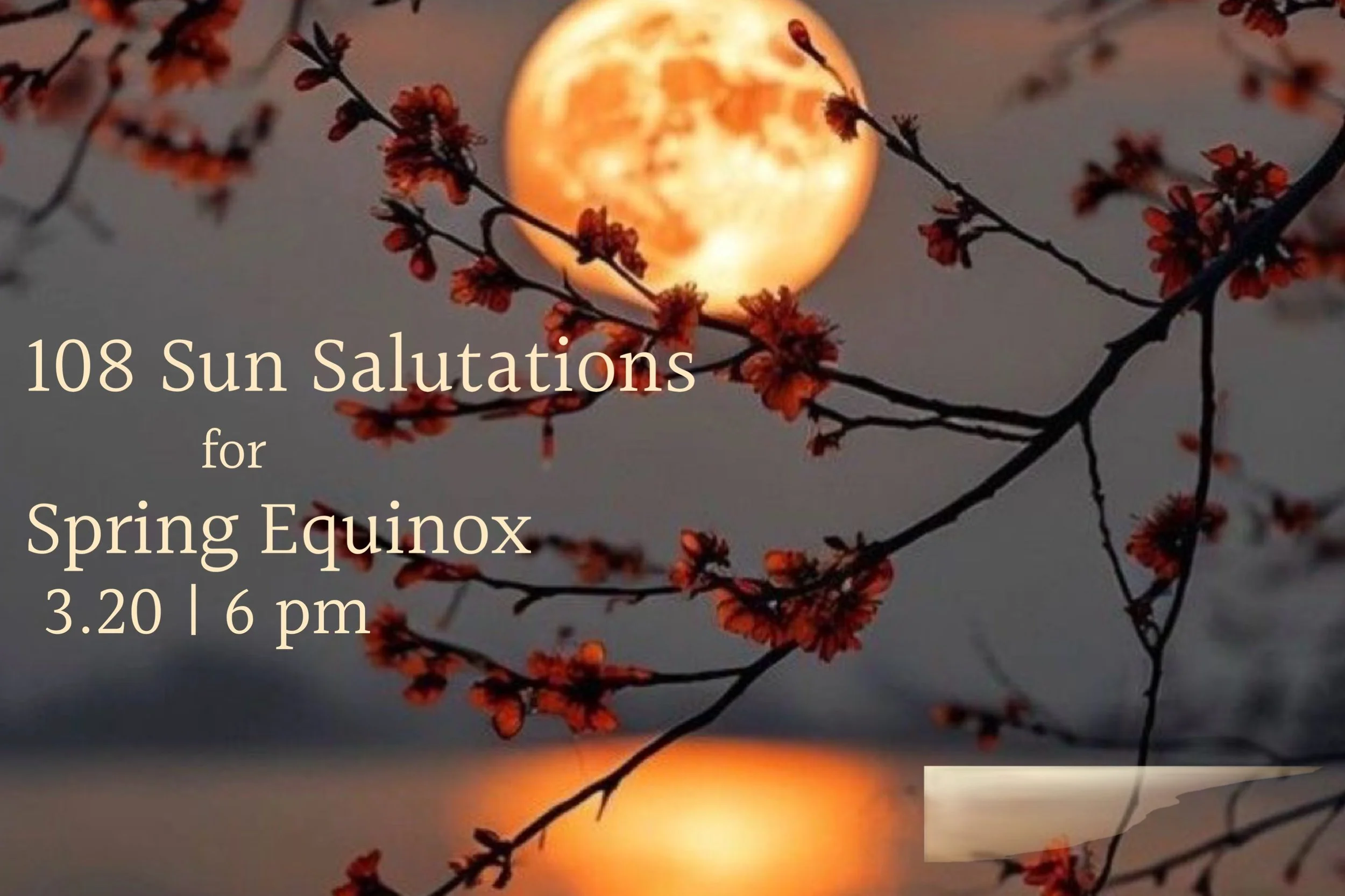108 Sun Salutations for Spring Equinox 