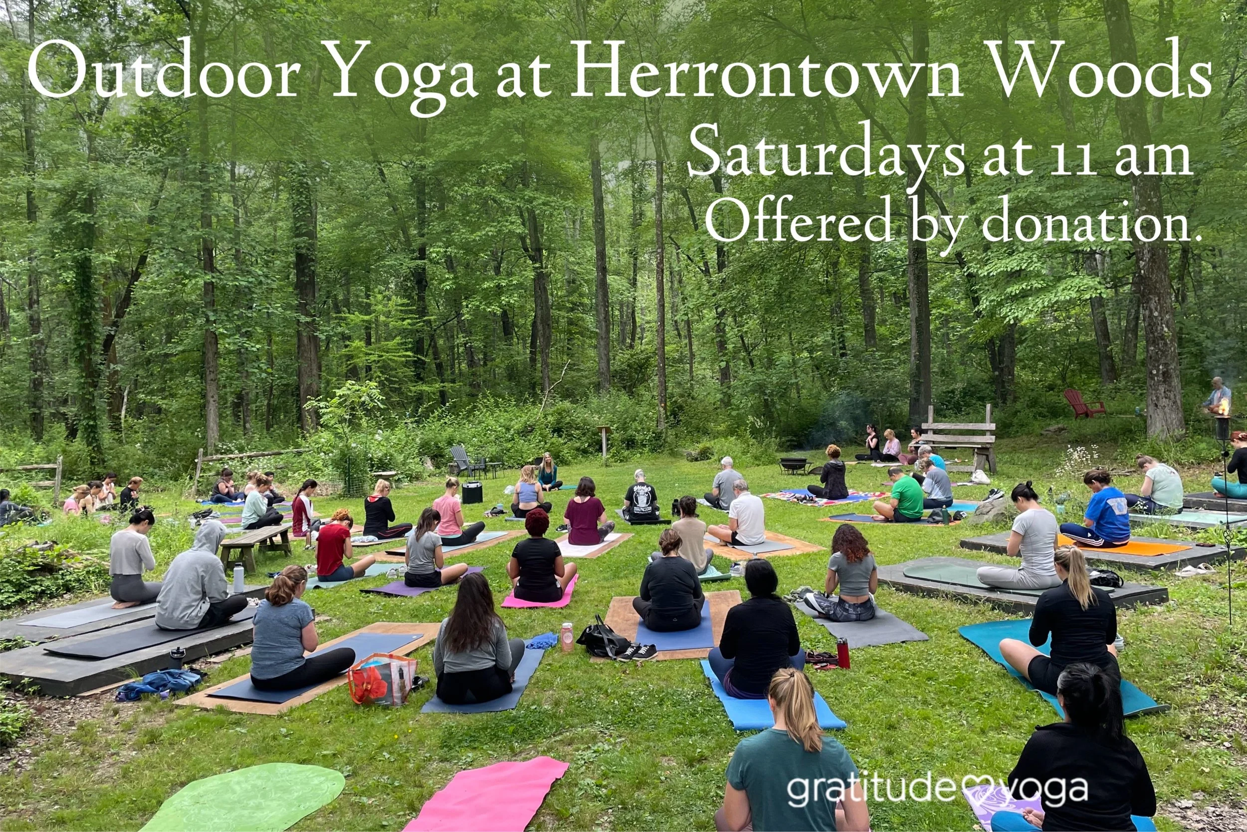 Outdoor Yoga on Saturdays at Herrontown Woods 