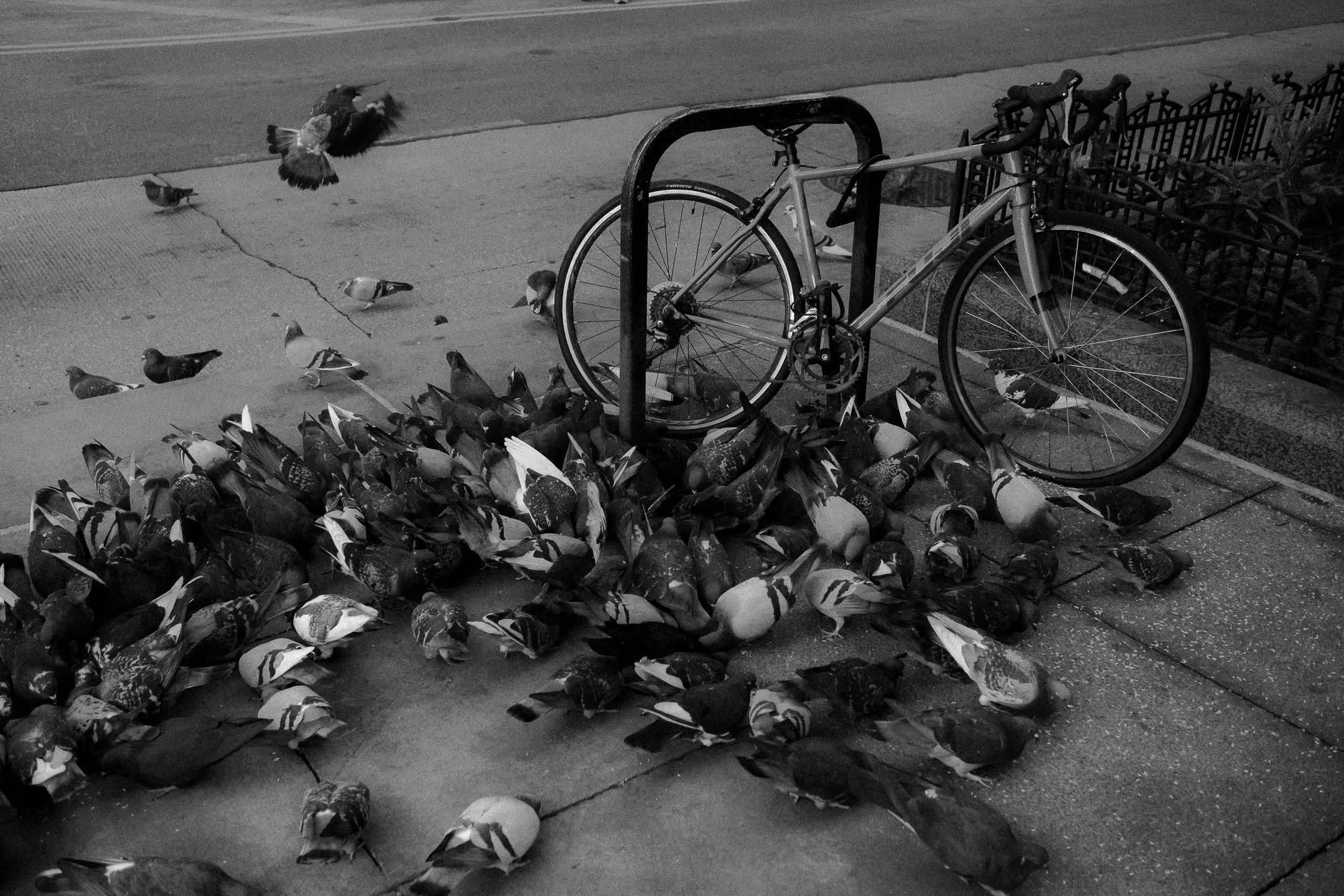 During the Storm, Chicago, 2022