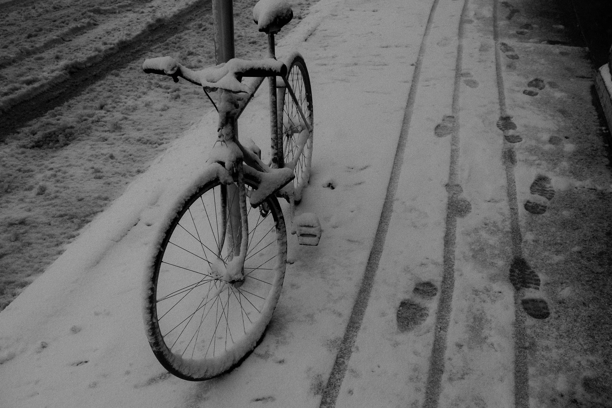 Untitled, Milwaukee, 2023