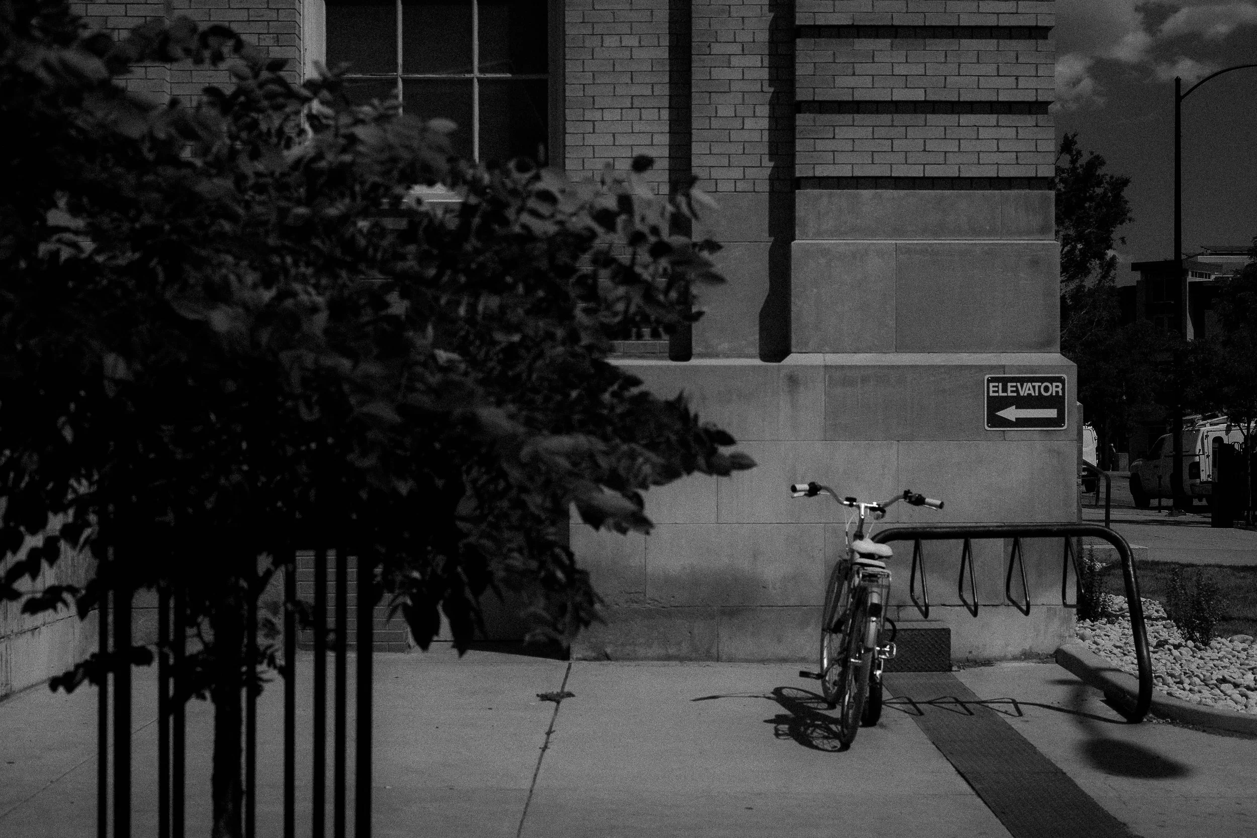 This Way, Boulder, 2022