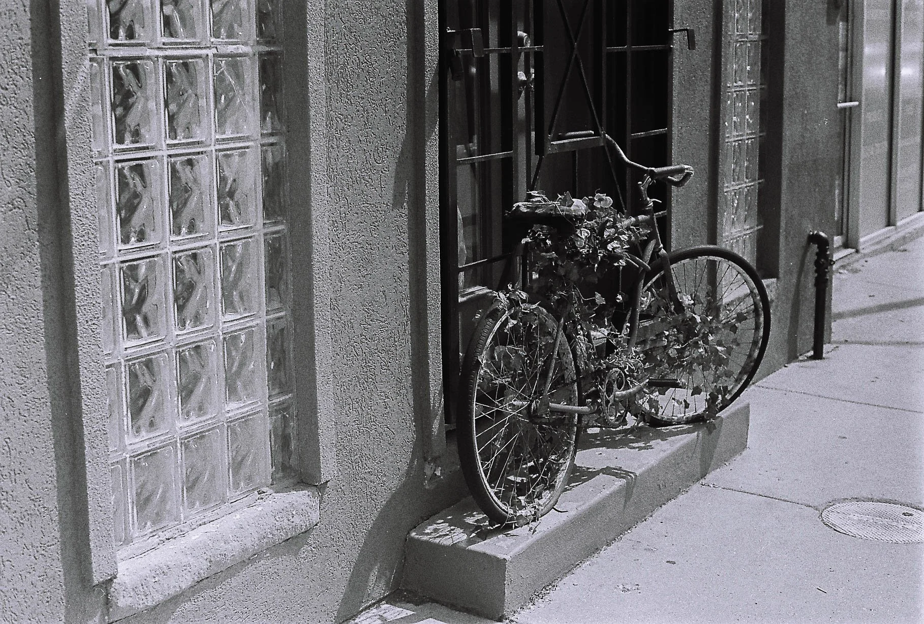 Untitled, Chicago, 2022