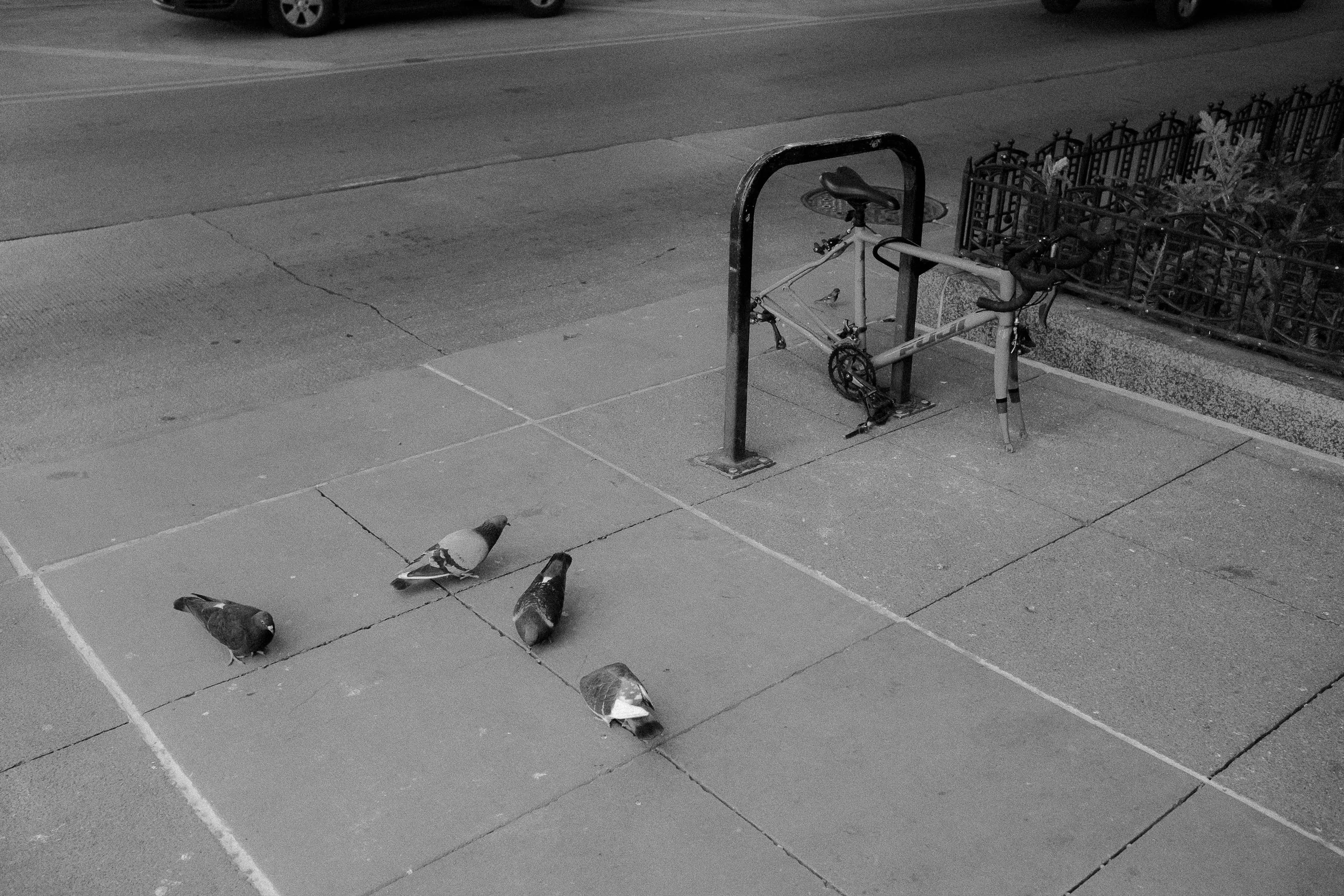 After the Storm, Chicago, 2022