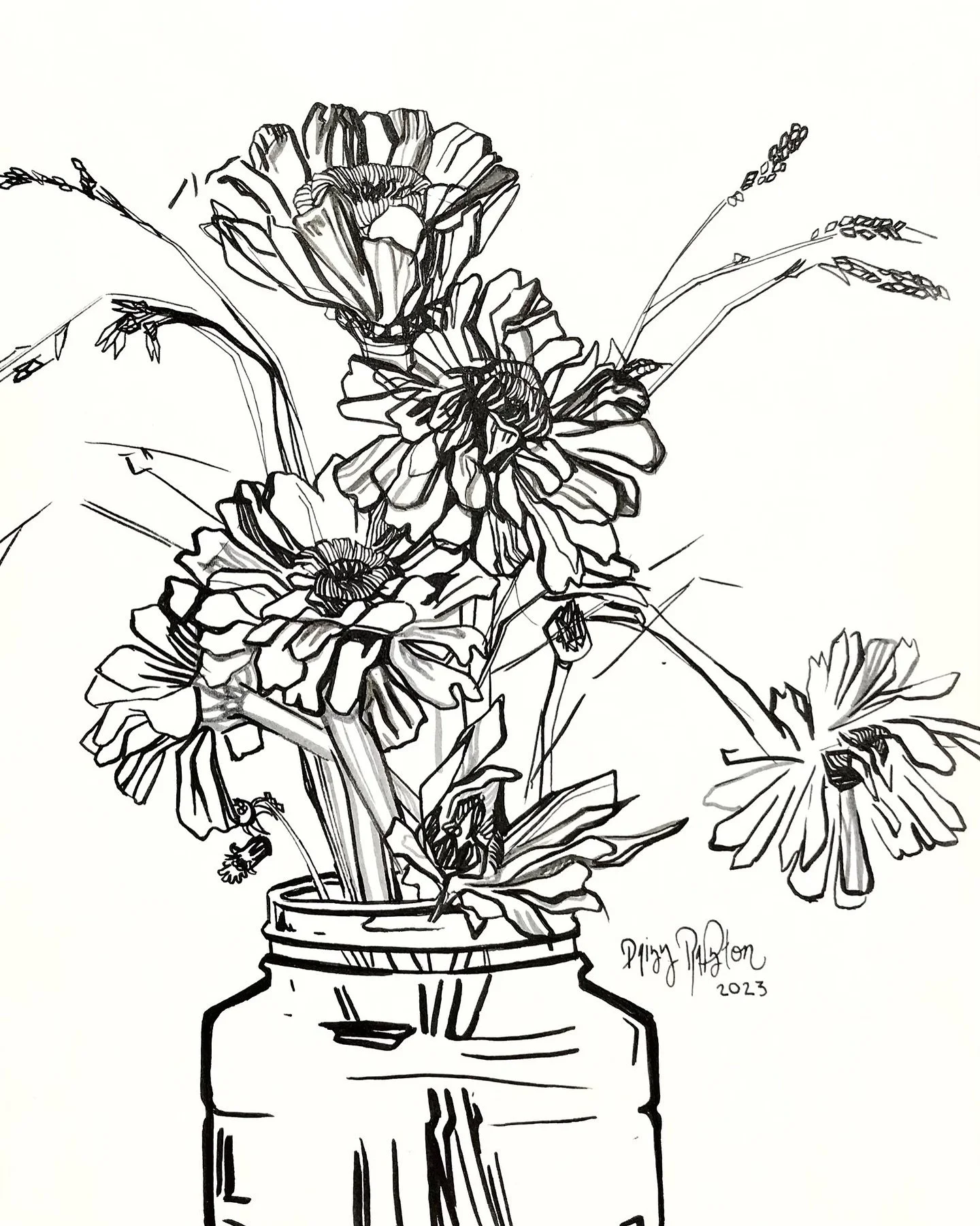 Early September Flowers 
7”x10” original ink drawing on weighted paper 
Framing options available 
2023 Daisy Ralston 
https://www.daisyralston.com/originals/p/early-september-flowers