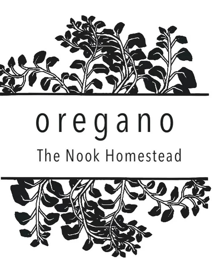 how cute are these? 🥲 
homegrown, gathered, cleaned, dried, jarred, drawn, printed, stuck
#thermalprinter #apothecarylabels #herbaltea #floraldesign #floraldrawing