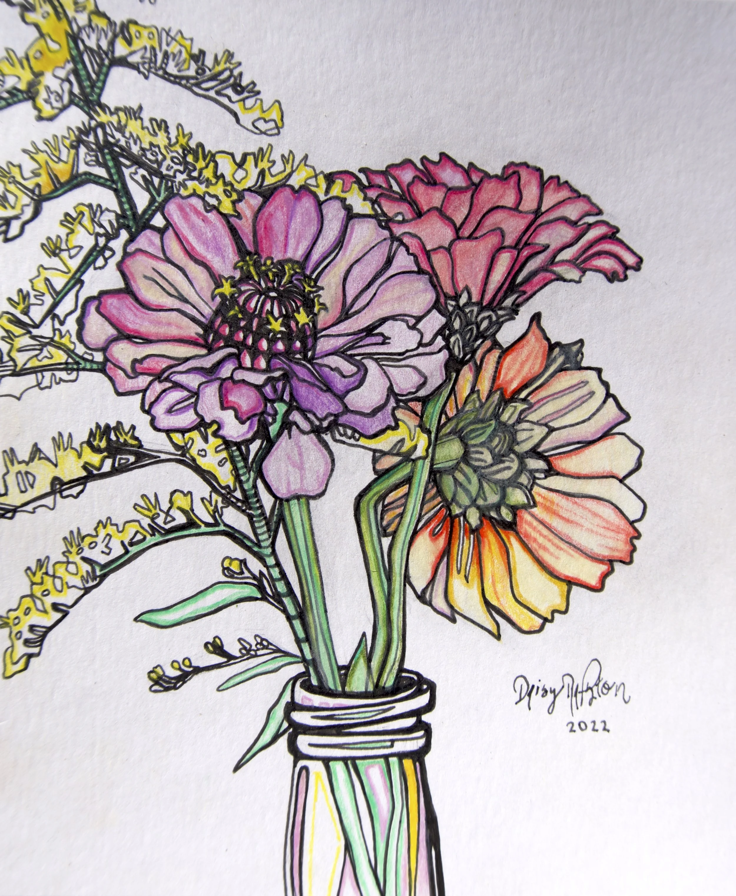 Zinnias and Goldenrod ink drawing and colored pencil by artist Daisy Ralston
