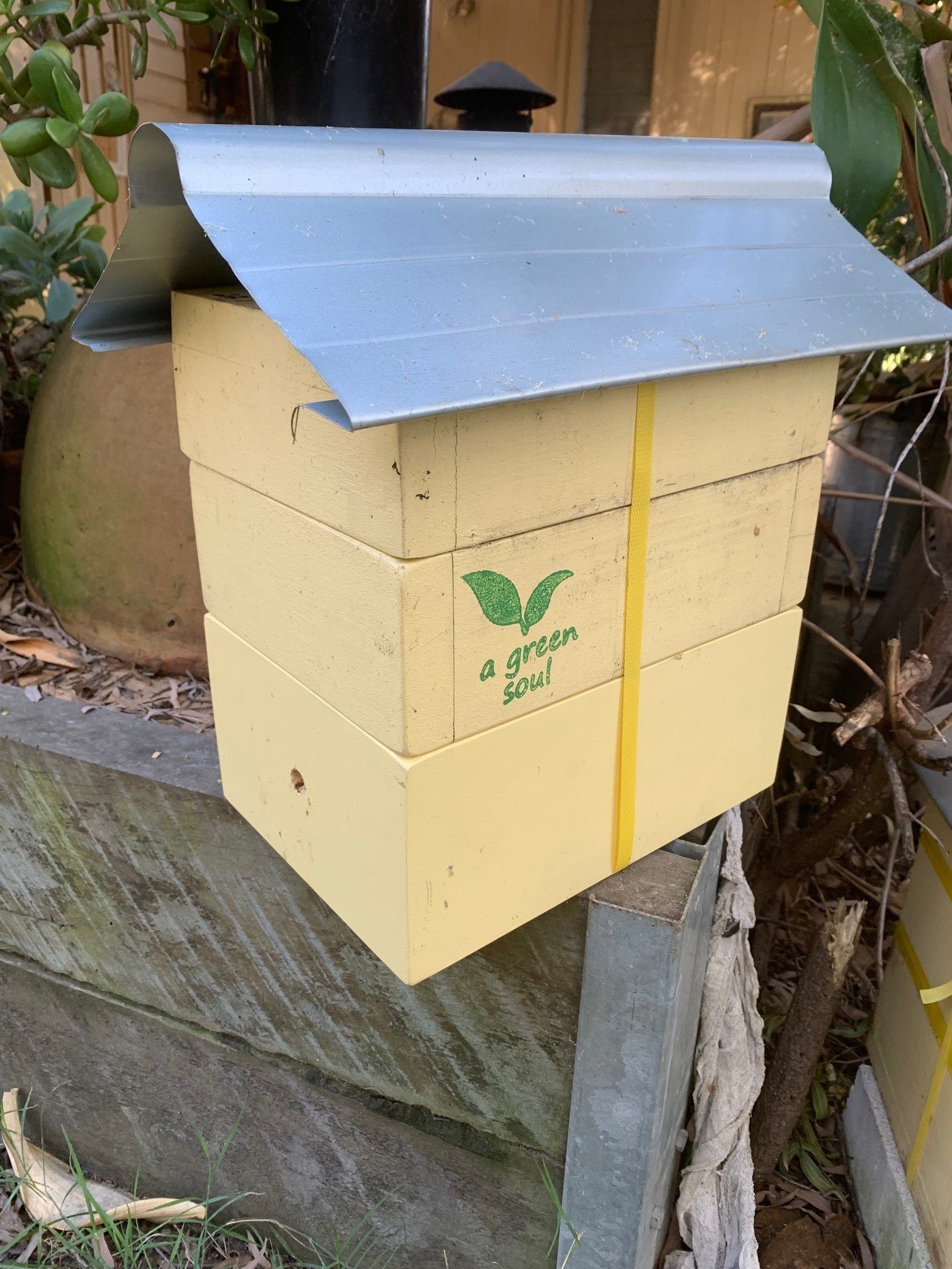 Full Hive.jpg