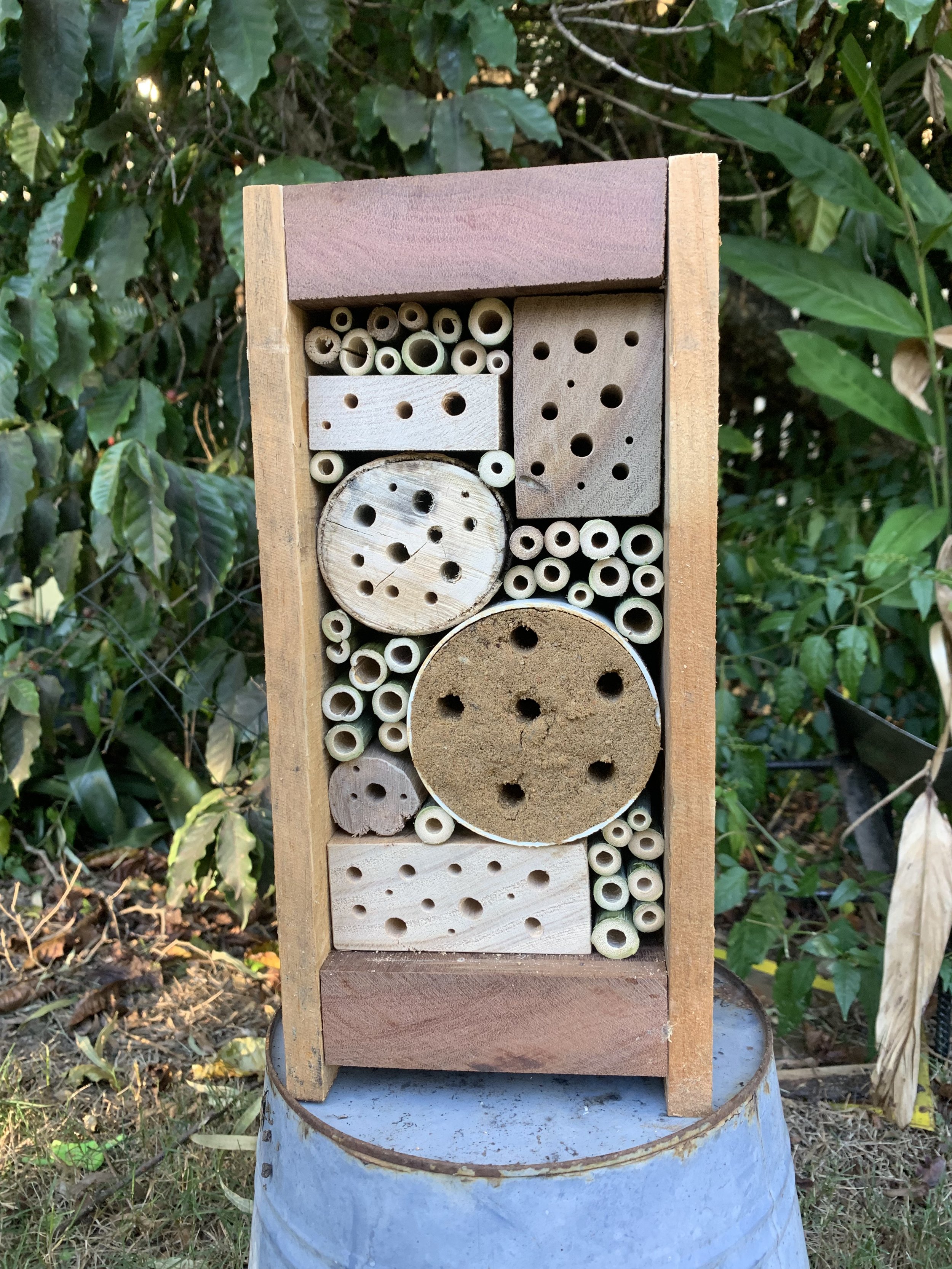 Bee Hotel Rustic 1.jpeg