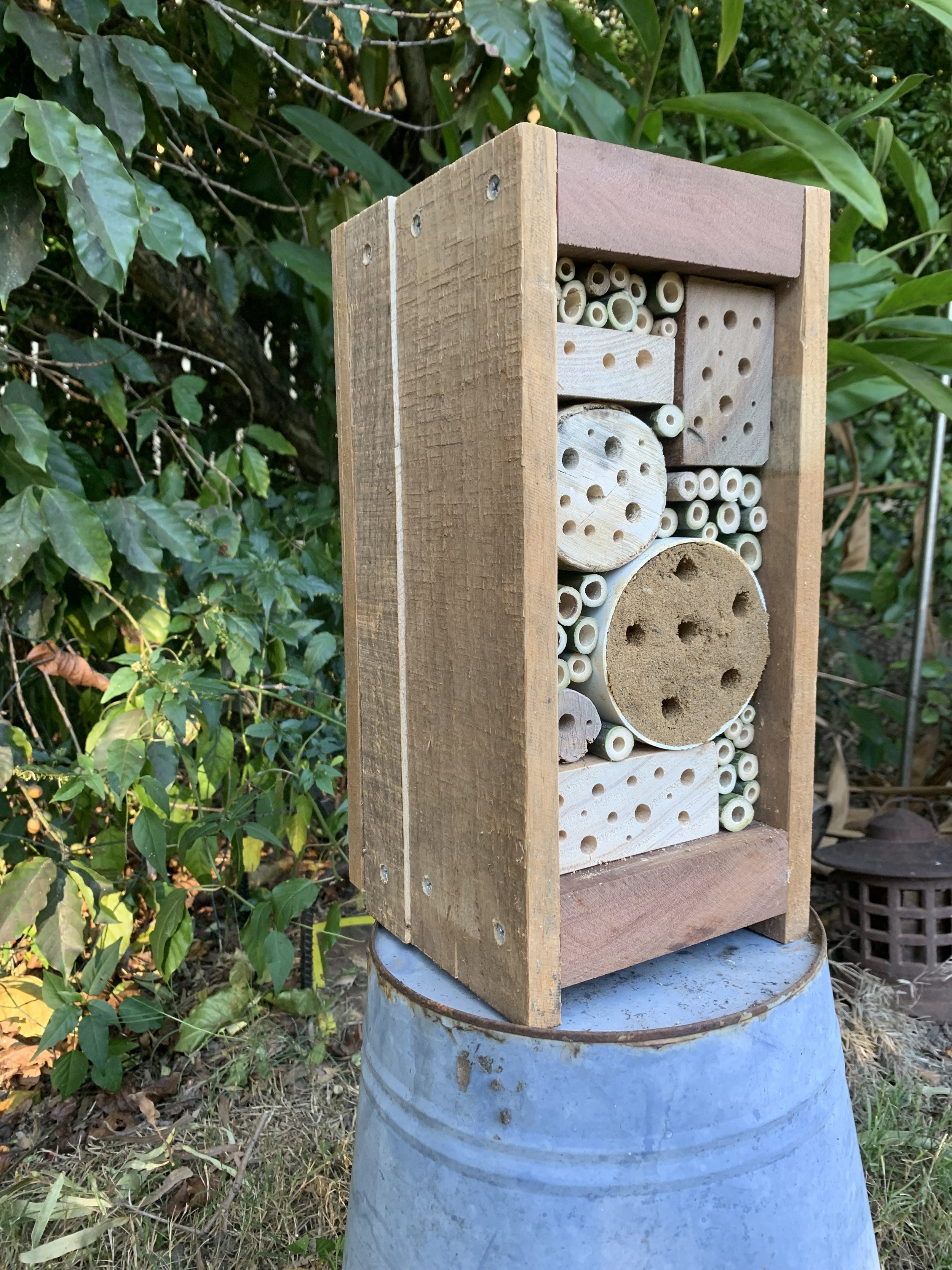 Bee Hotel Rustic 2.jpeg