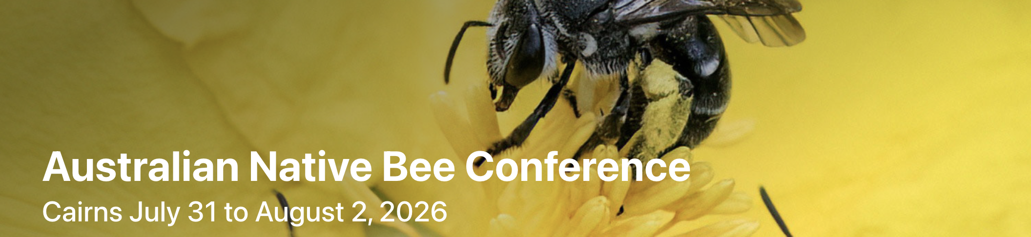 Australian Native Bee Conference - Cairns