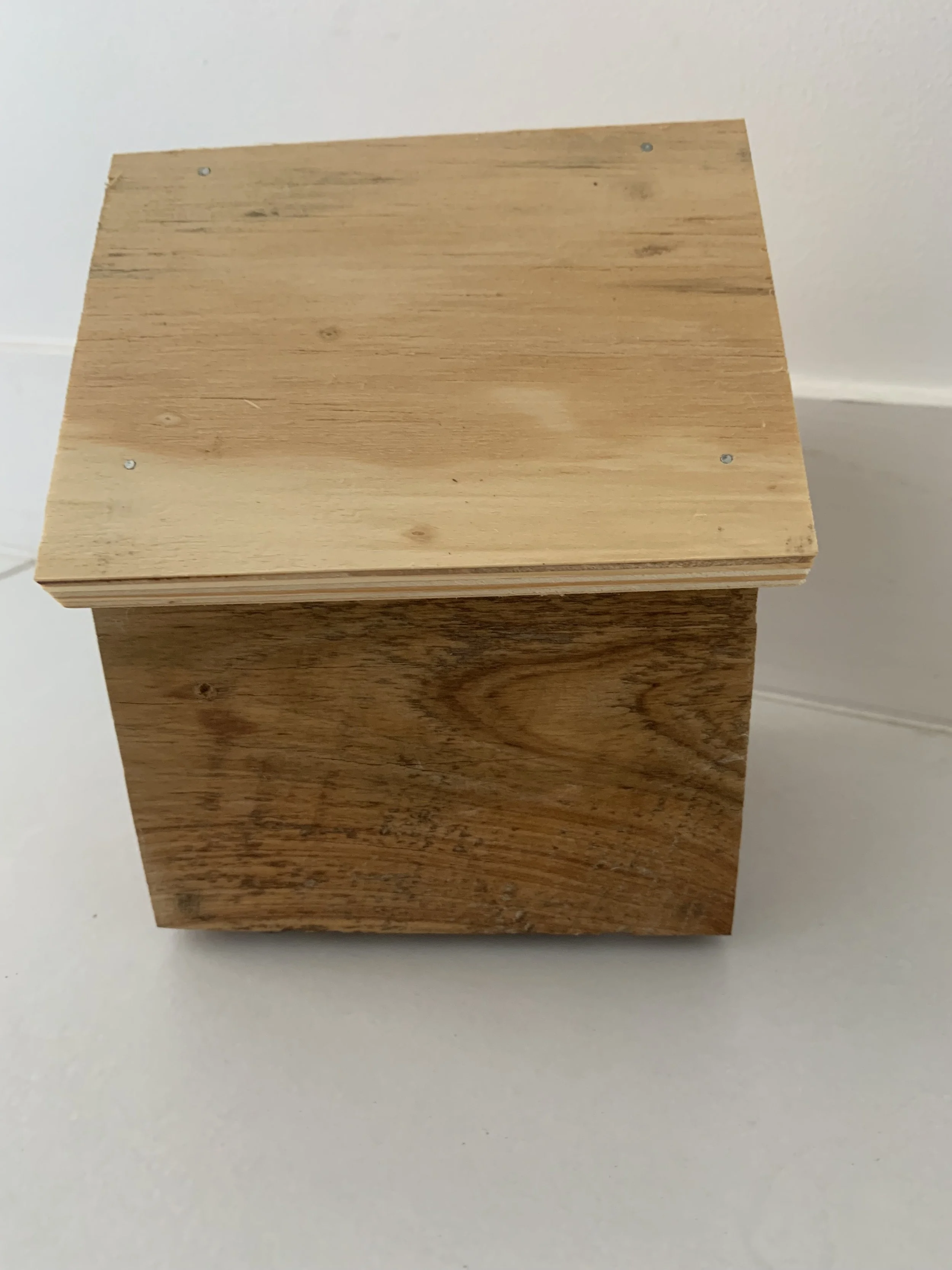 Bee Hotel Post 2.jpg