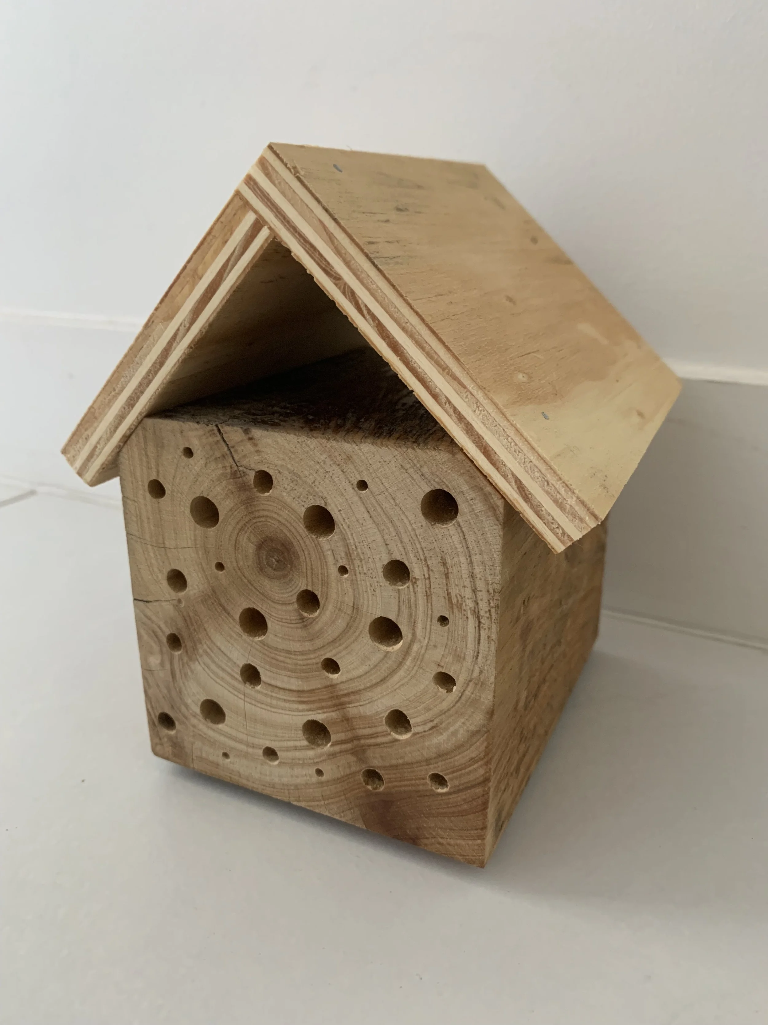 Bee Hotel Post 1.jpg