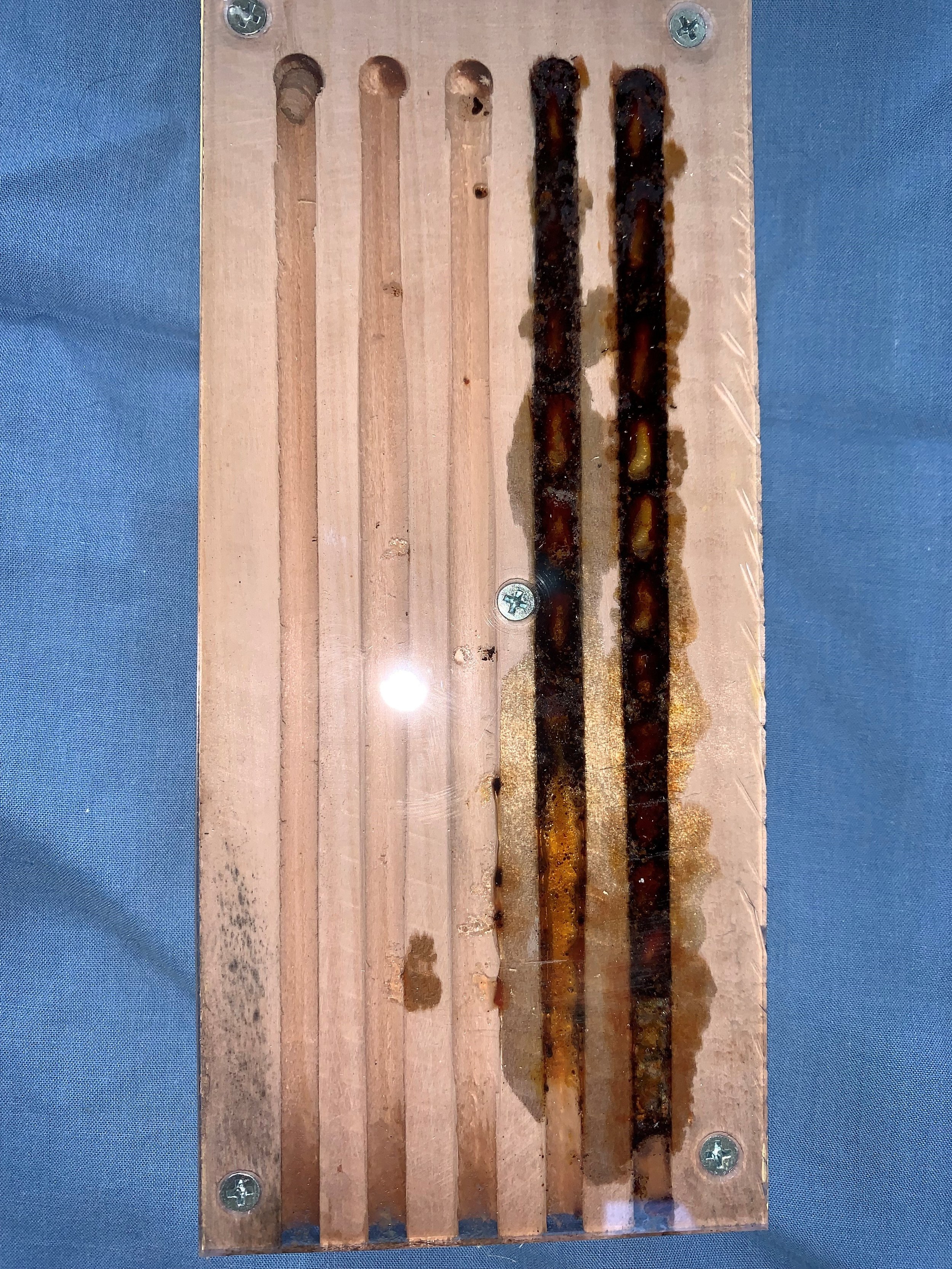 Observation Block 5.jpg