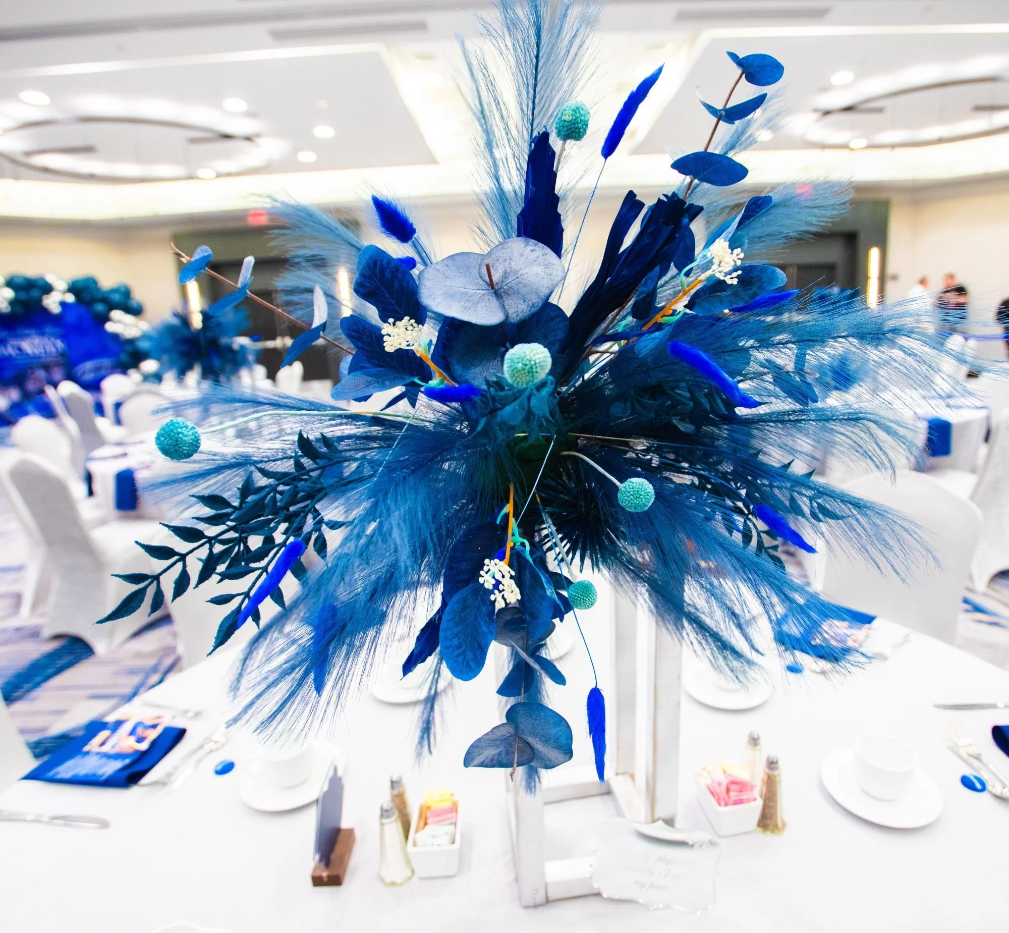 20230924-PHZ_1419-6 small.jpg